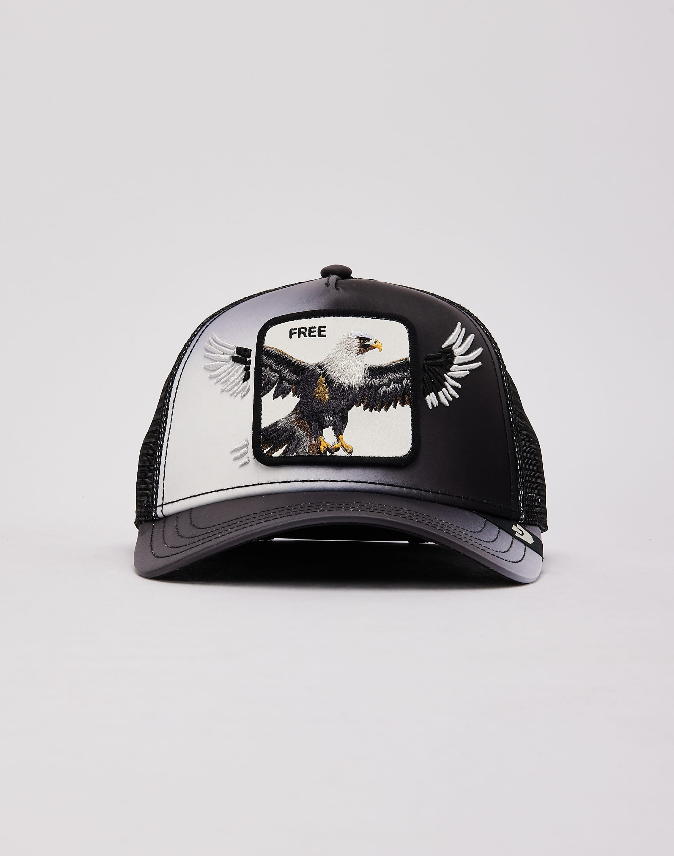 dtlr.com is where to buy