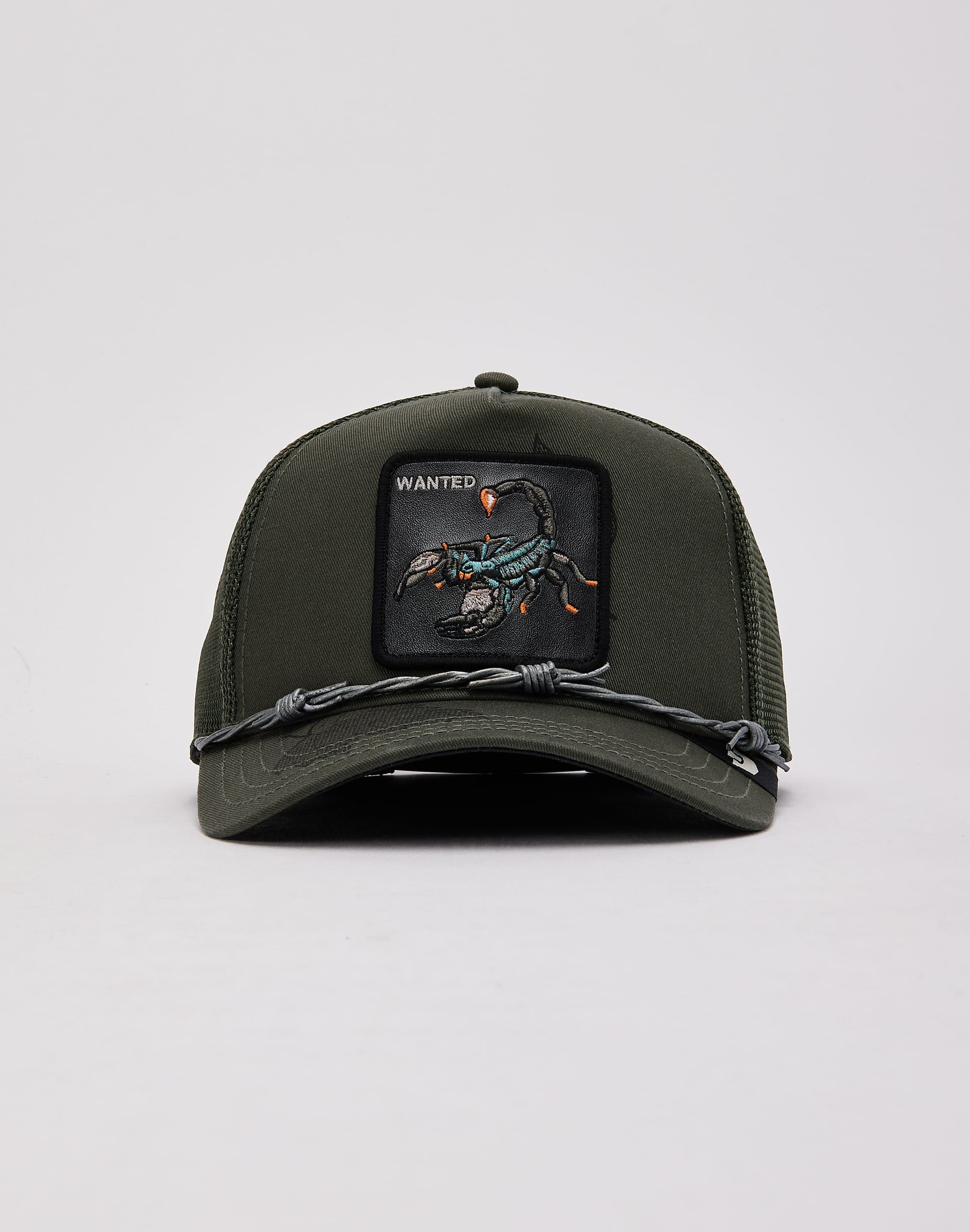 dtlr.com is where to buy