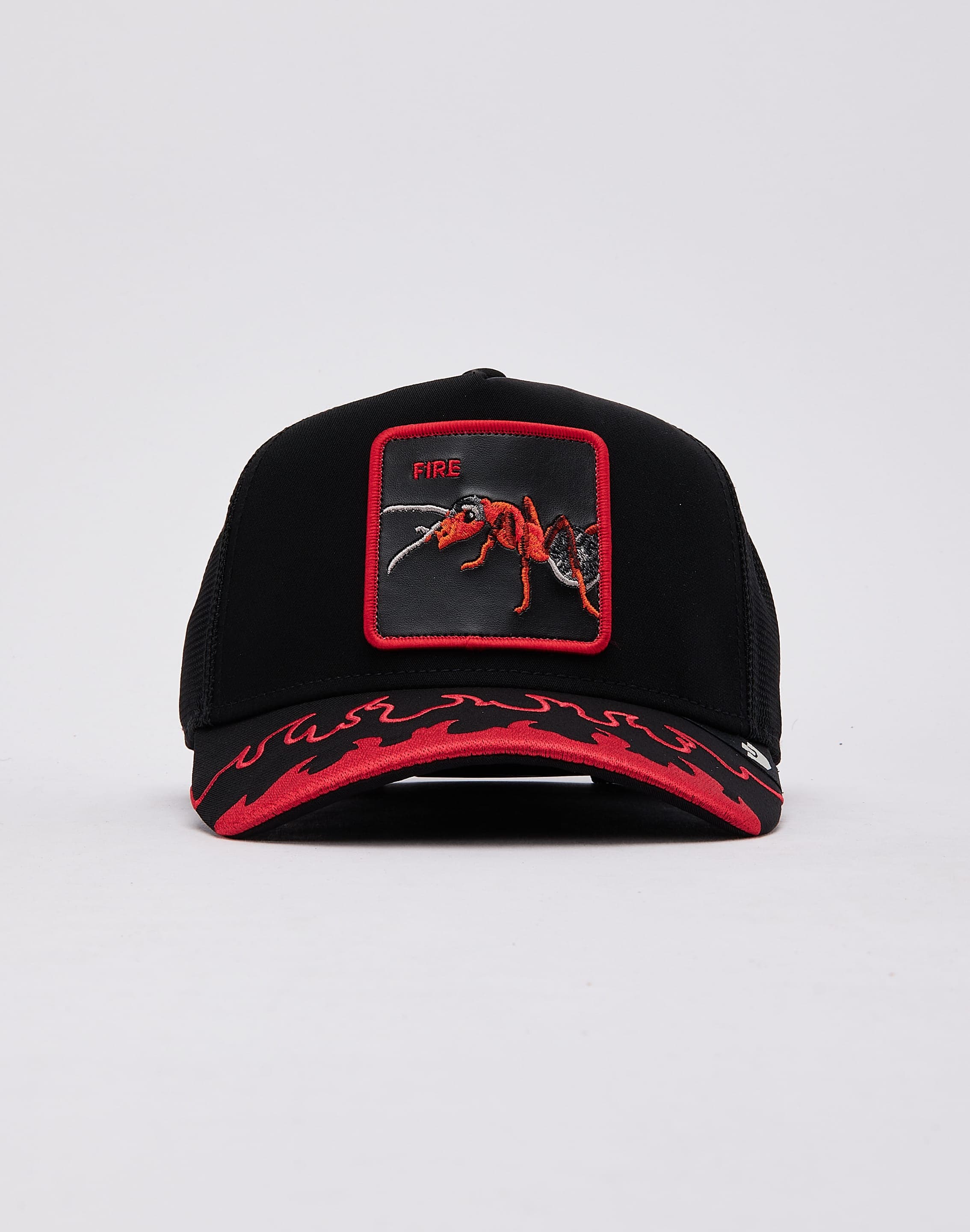 dtlr.com is where to buy