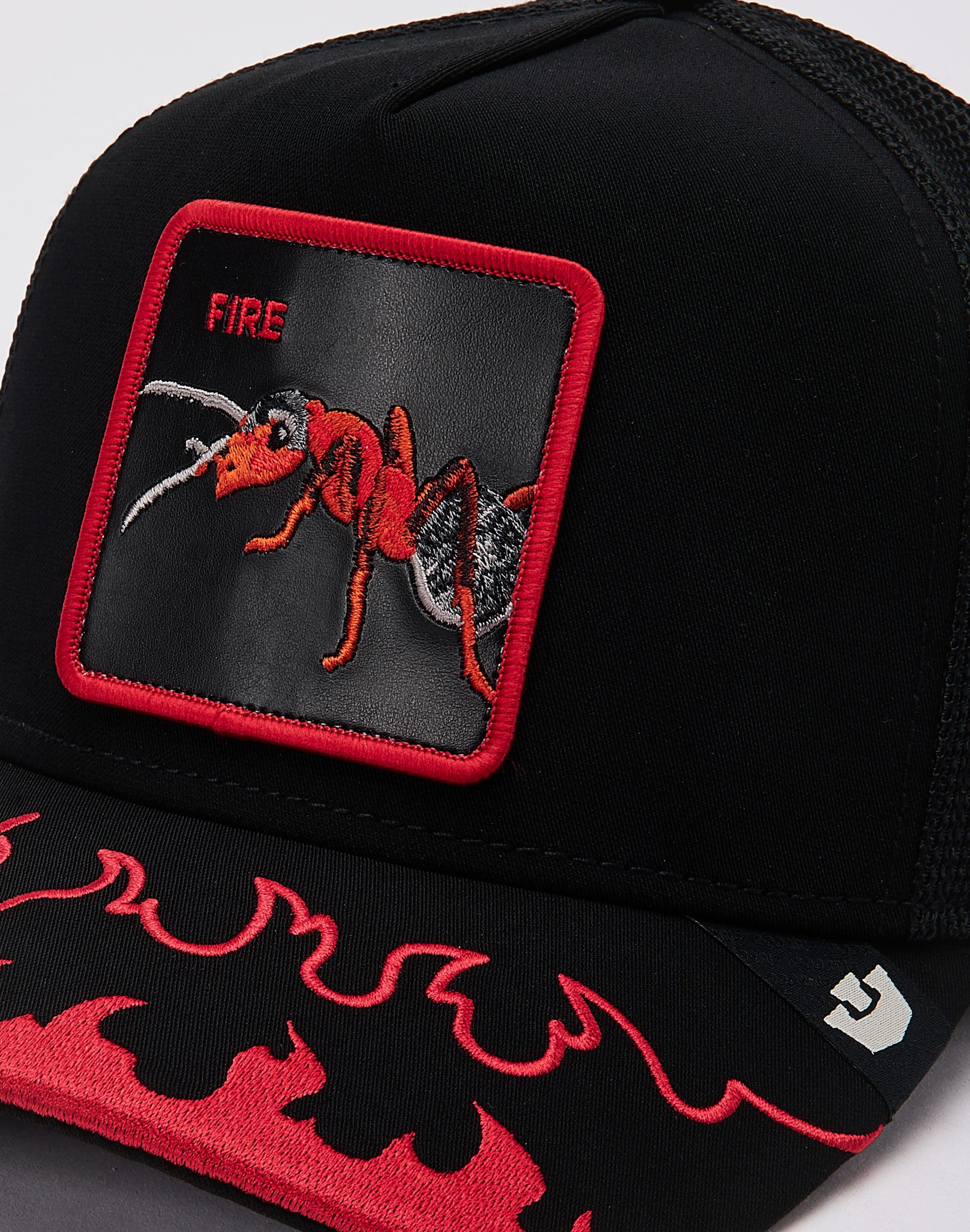 dtlr.com is where to buy