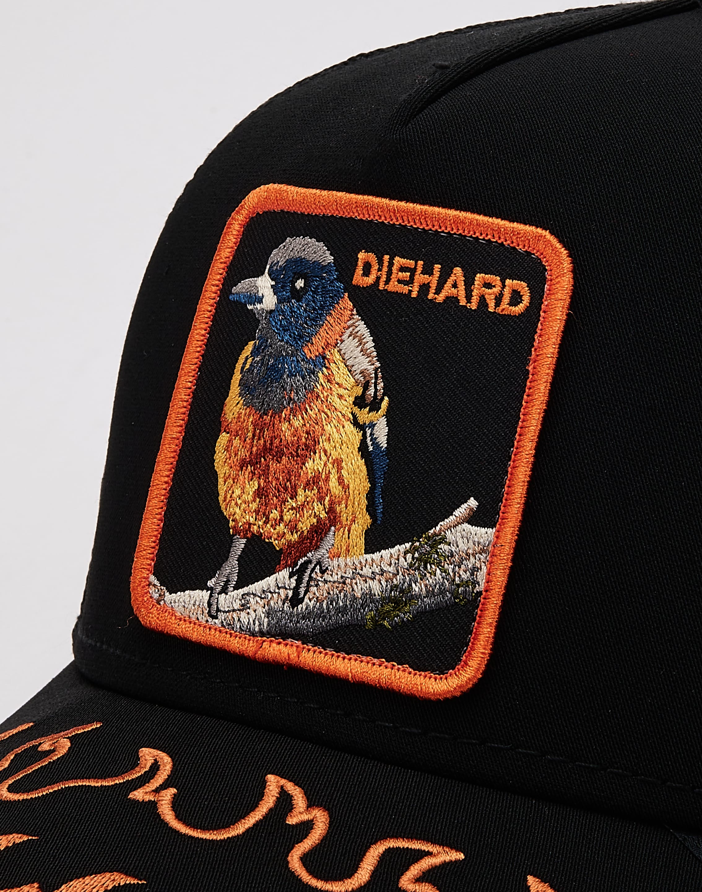 dtlr.com is where to buy