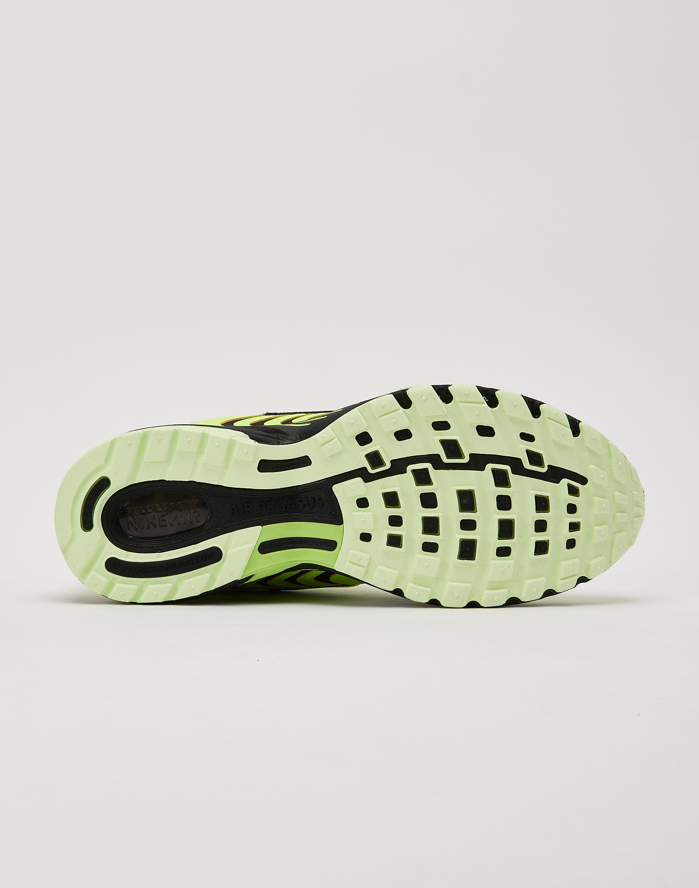 Nike Air Pegasus 2005