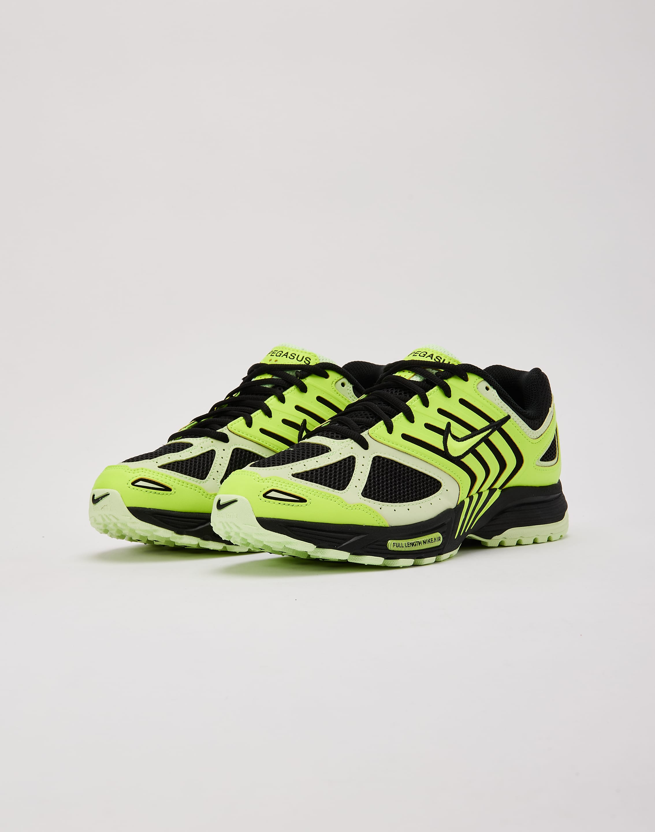 Nike Air Pegasus 2005