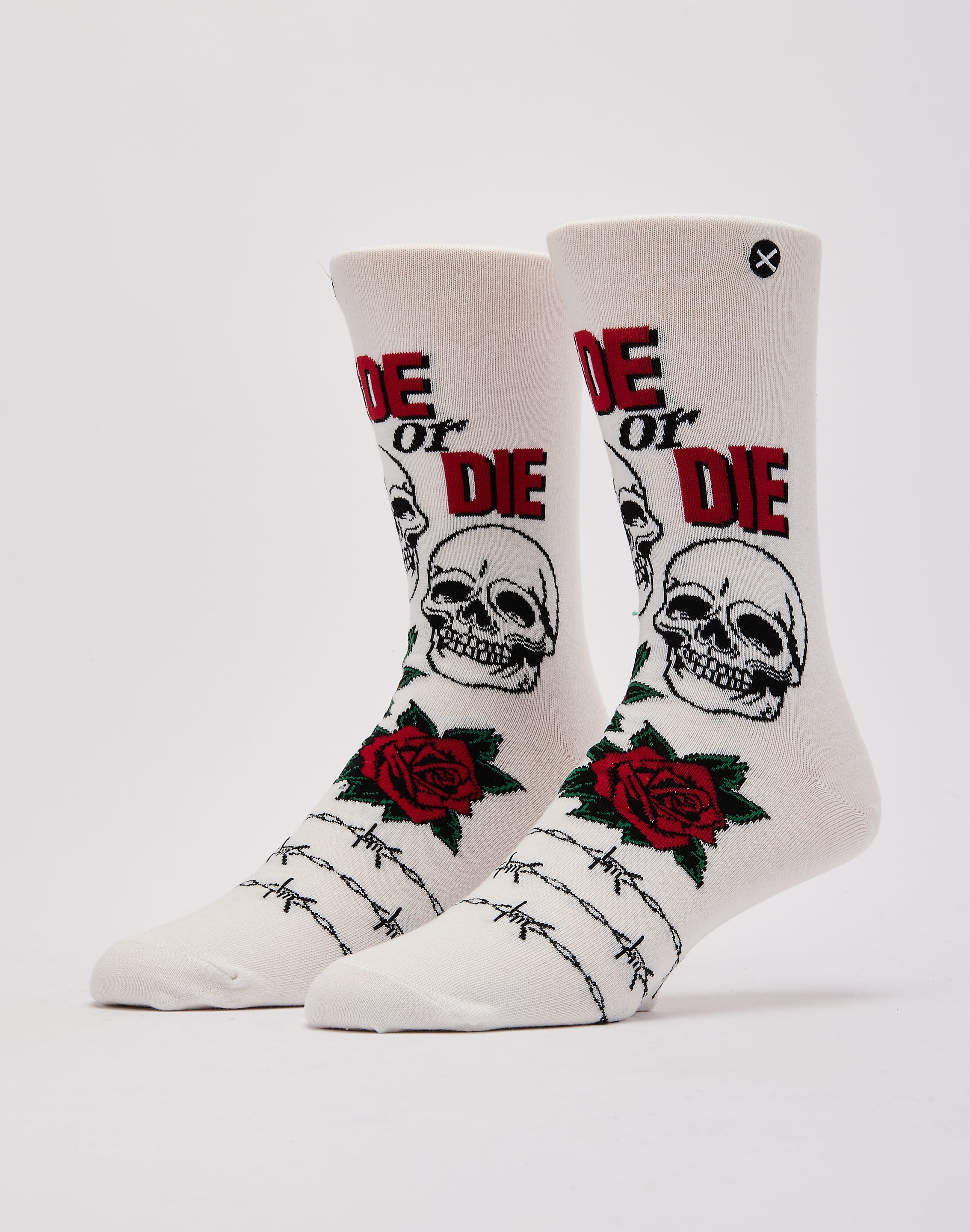 dtlr.com is where to buy