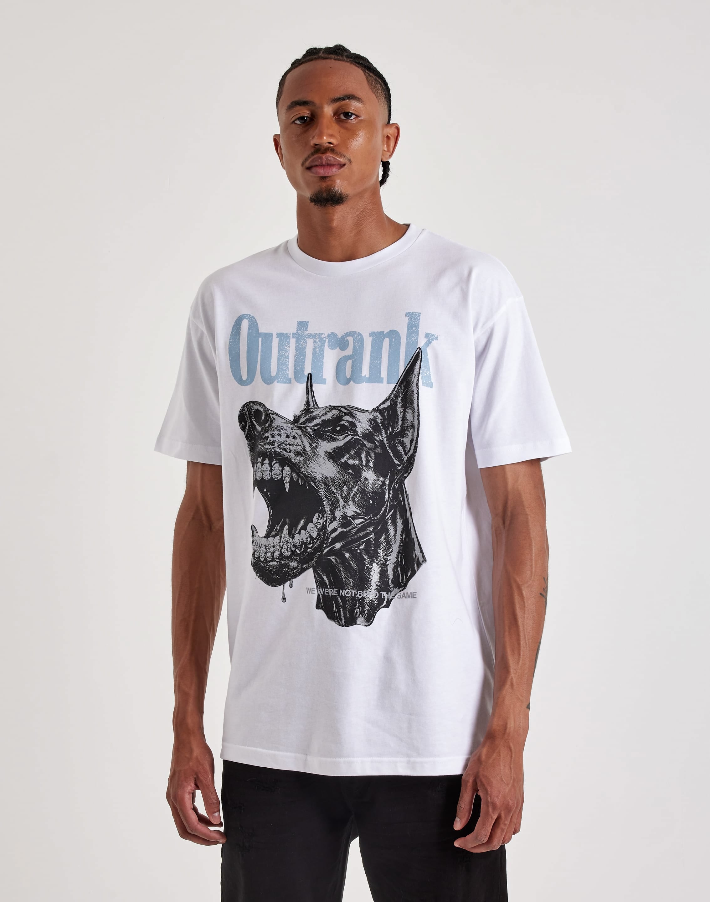 dtlr.com is where to buy