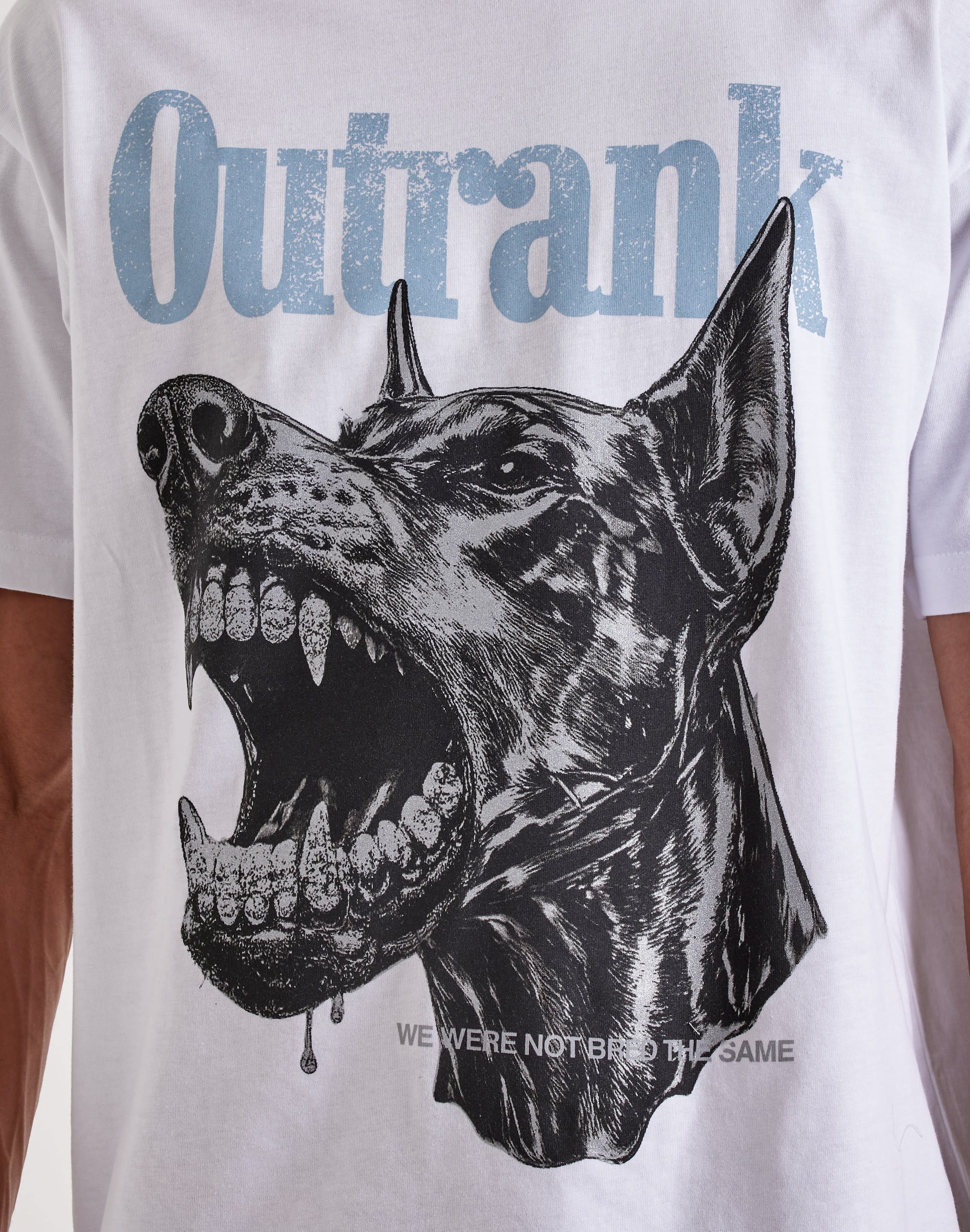 dtlr.com is where to buy