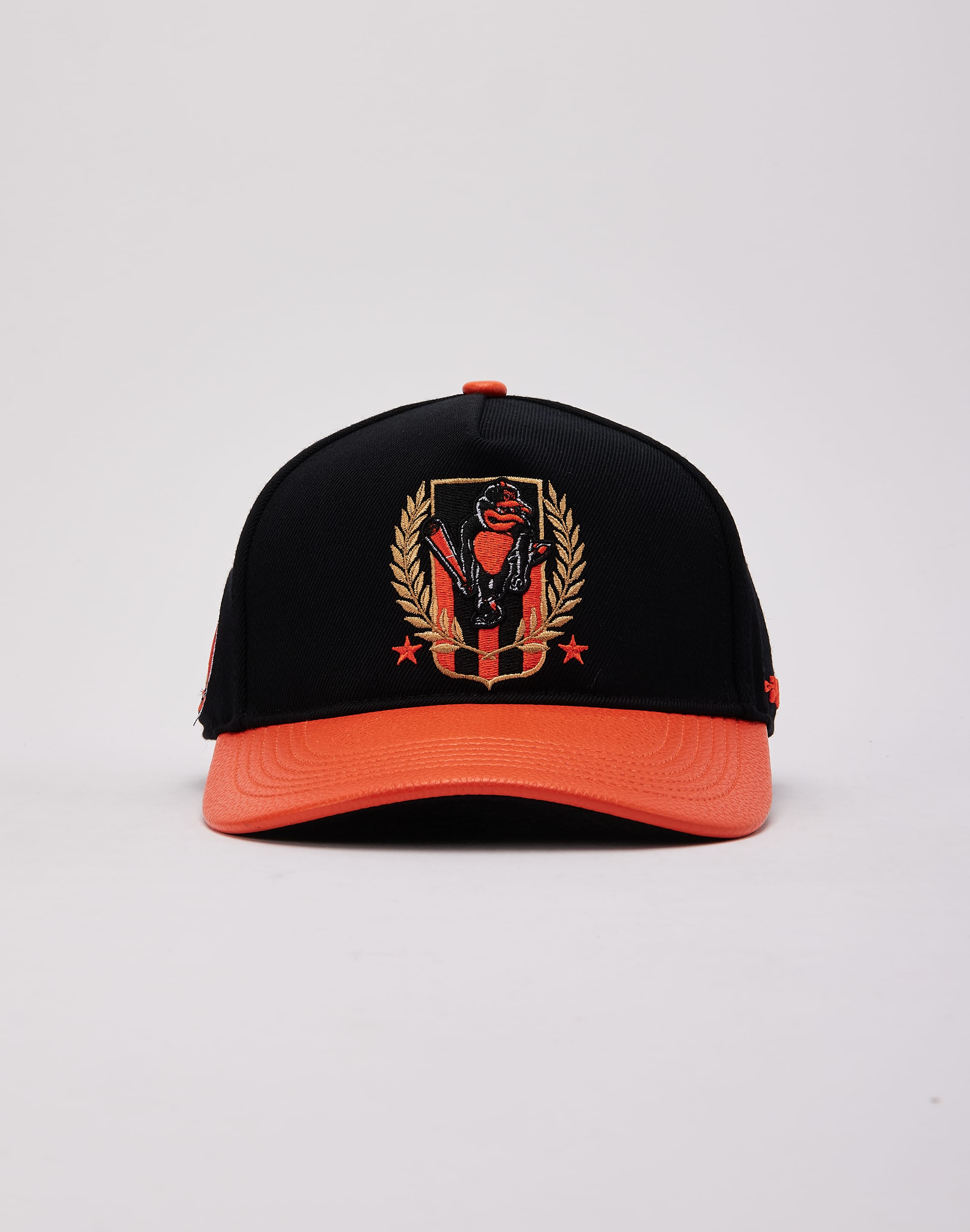 dtlr.com is where to buy