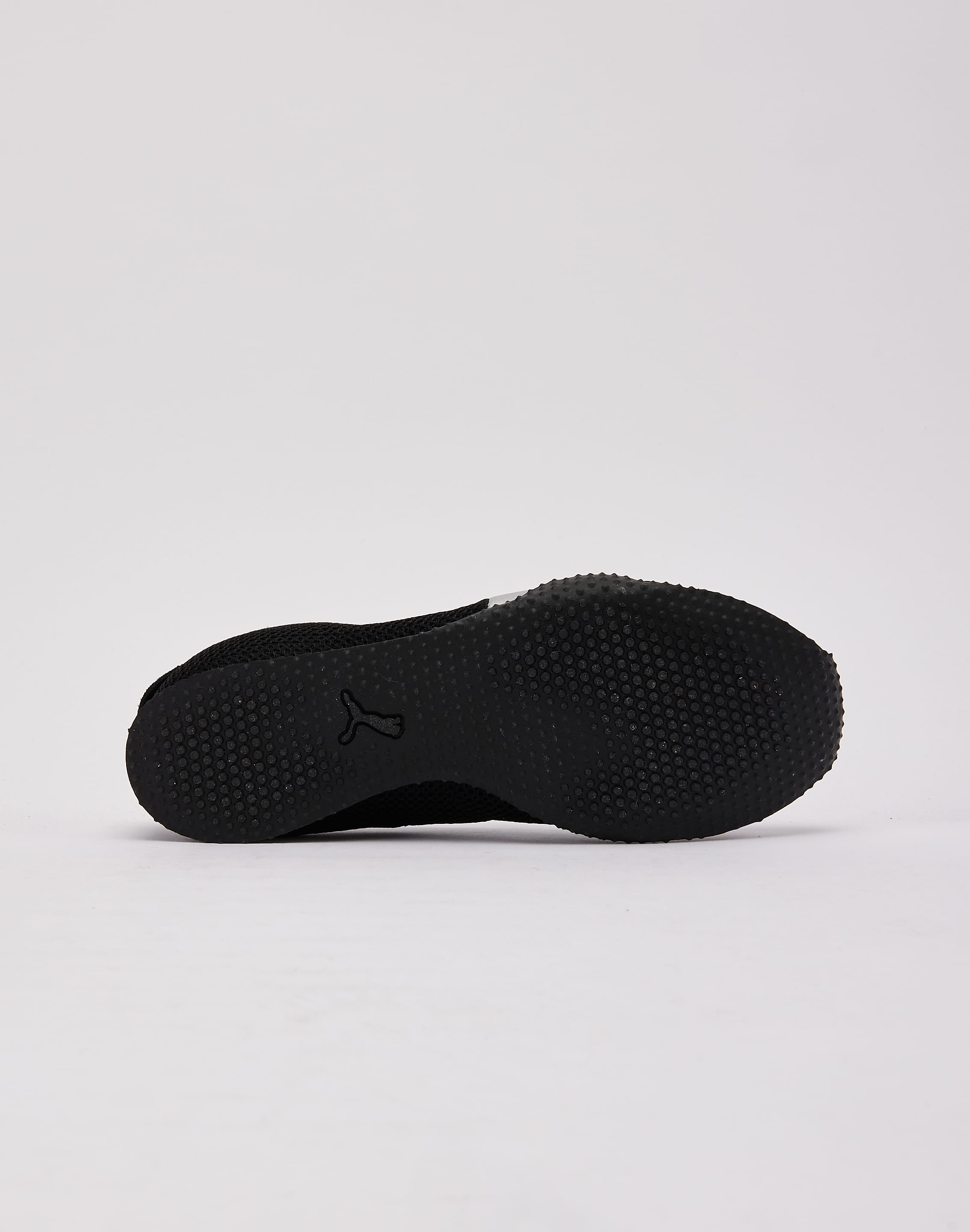 Photo of Puma H-Street Ballet