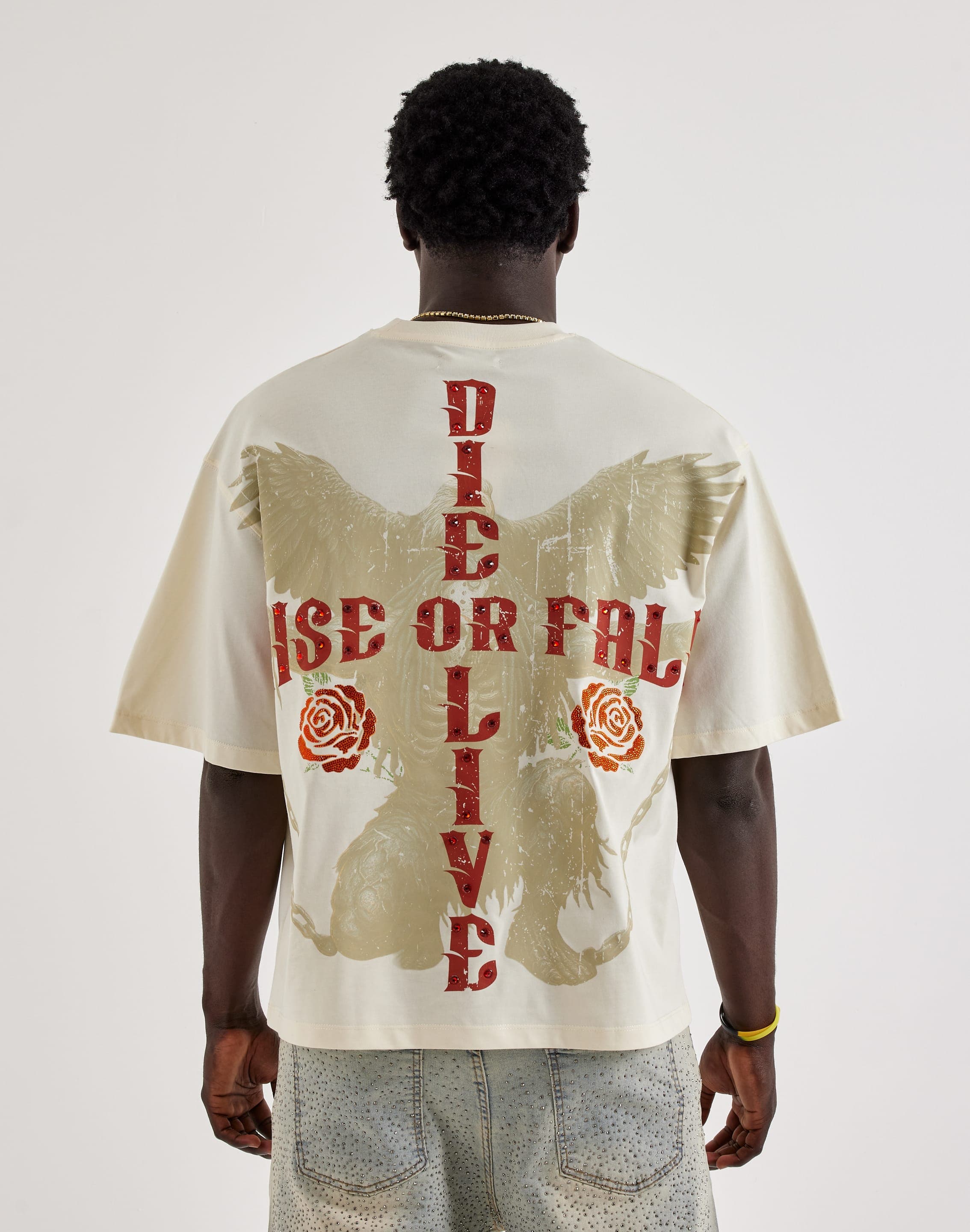 dtlr.com is where to buy