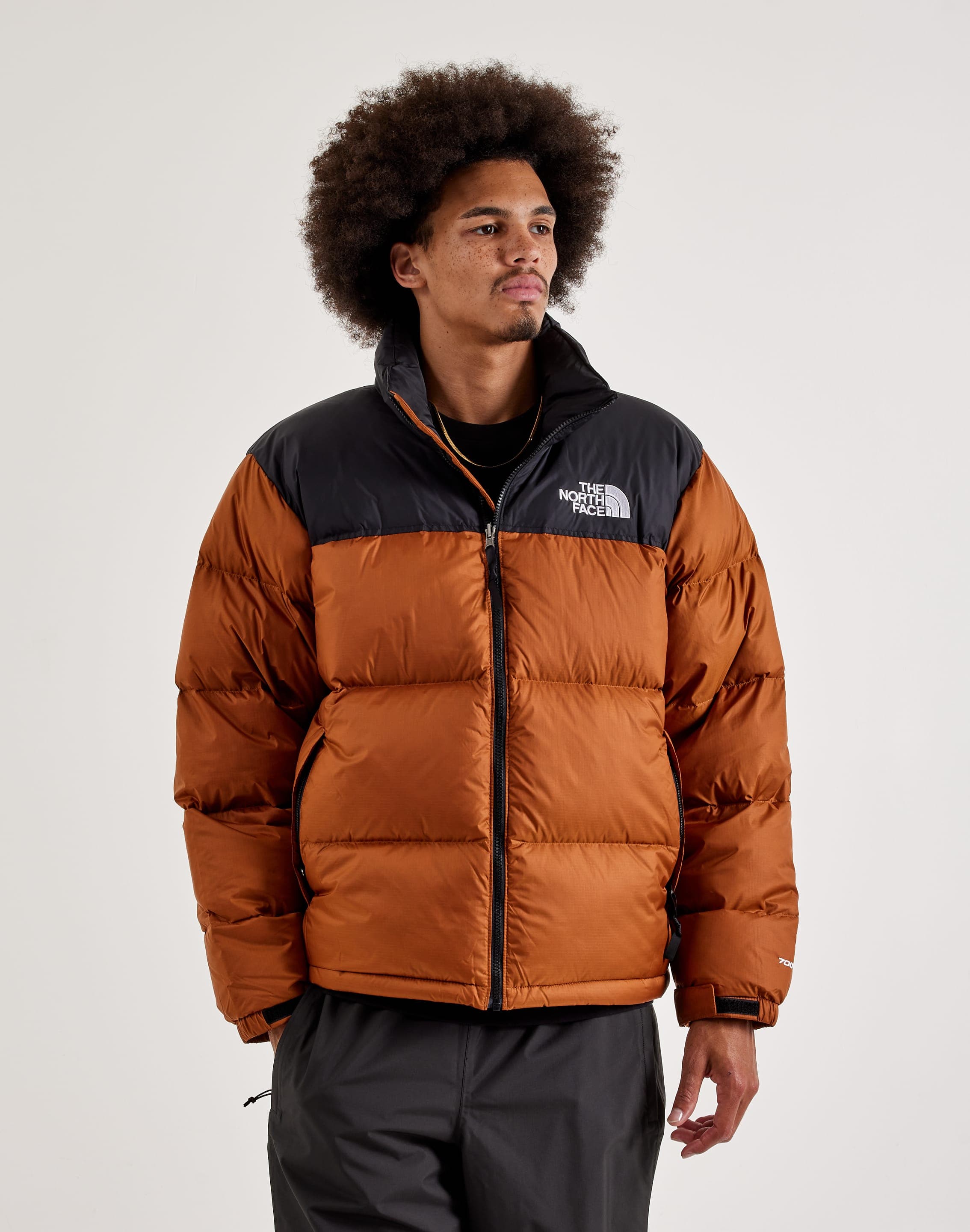 dtlr.com is where to buy