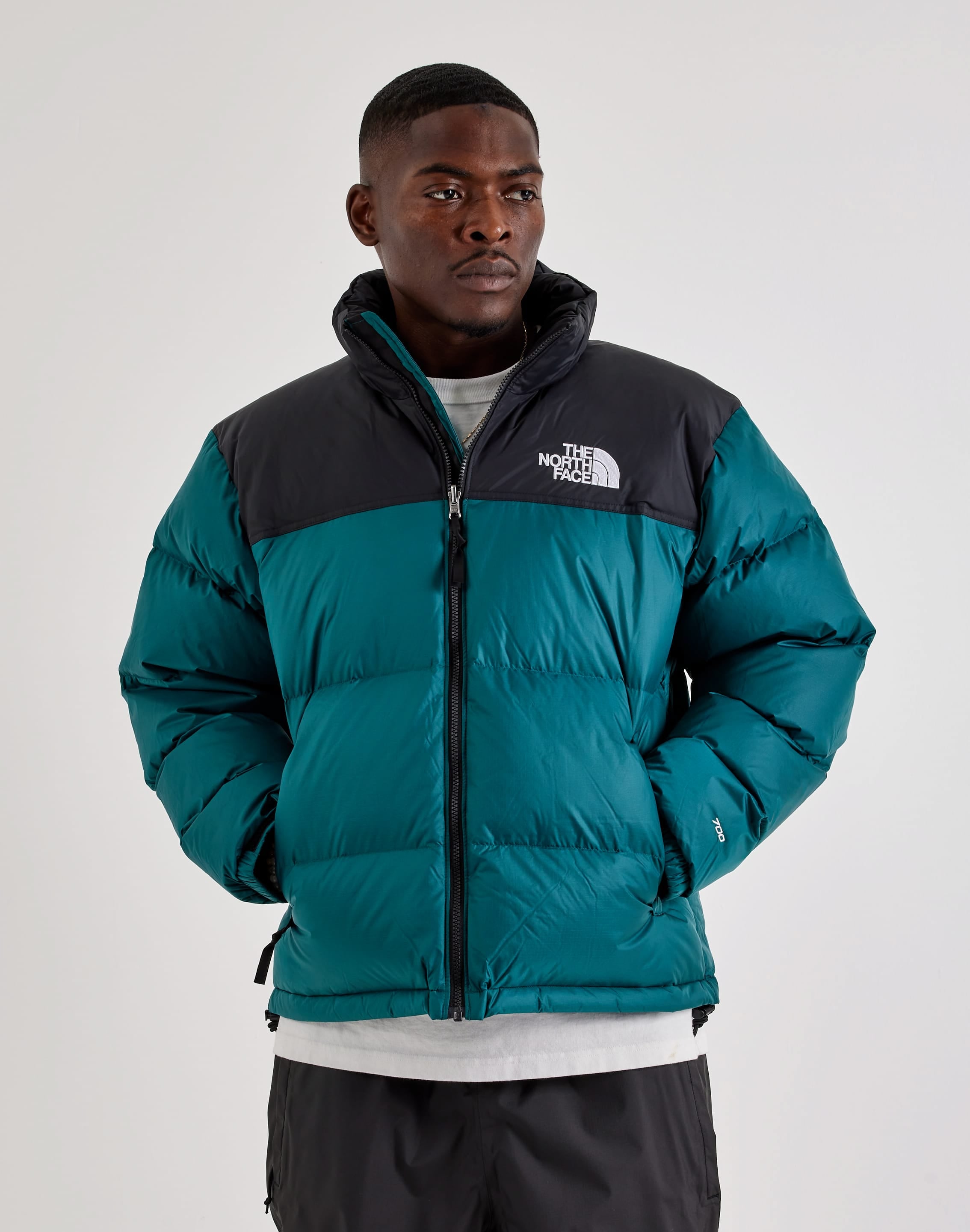 The North Face 1996 Retro Nuptse Jacket, image 1 of 4