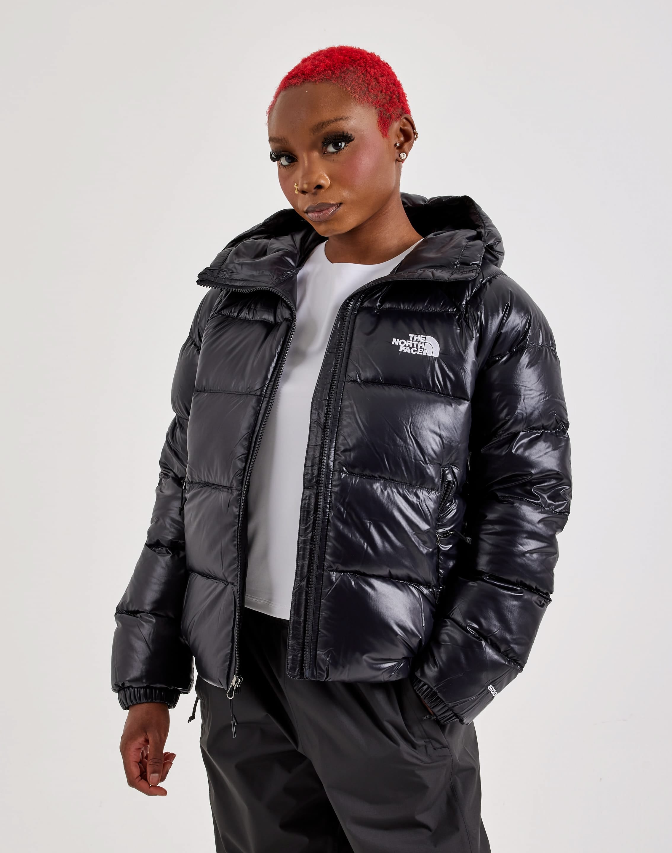 Photo of The North Face Hydrenalite Down Hooded Jacket