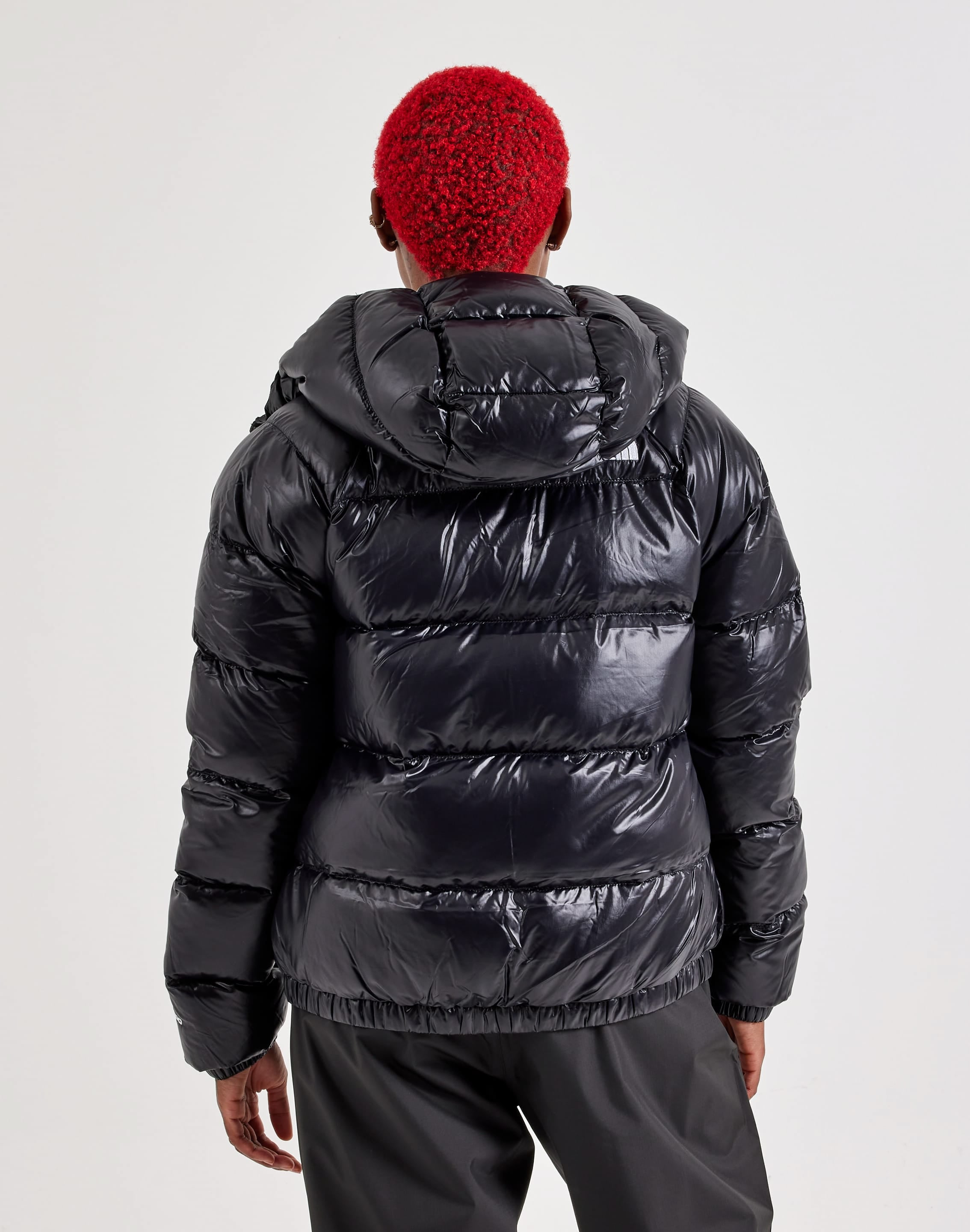 Photo of The North Face Hydrenalite Down Hooded Jacket