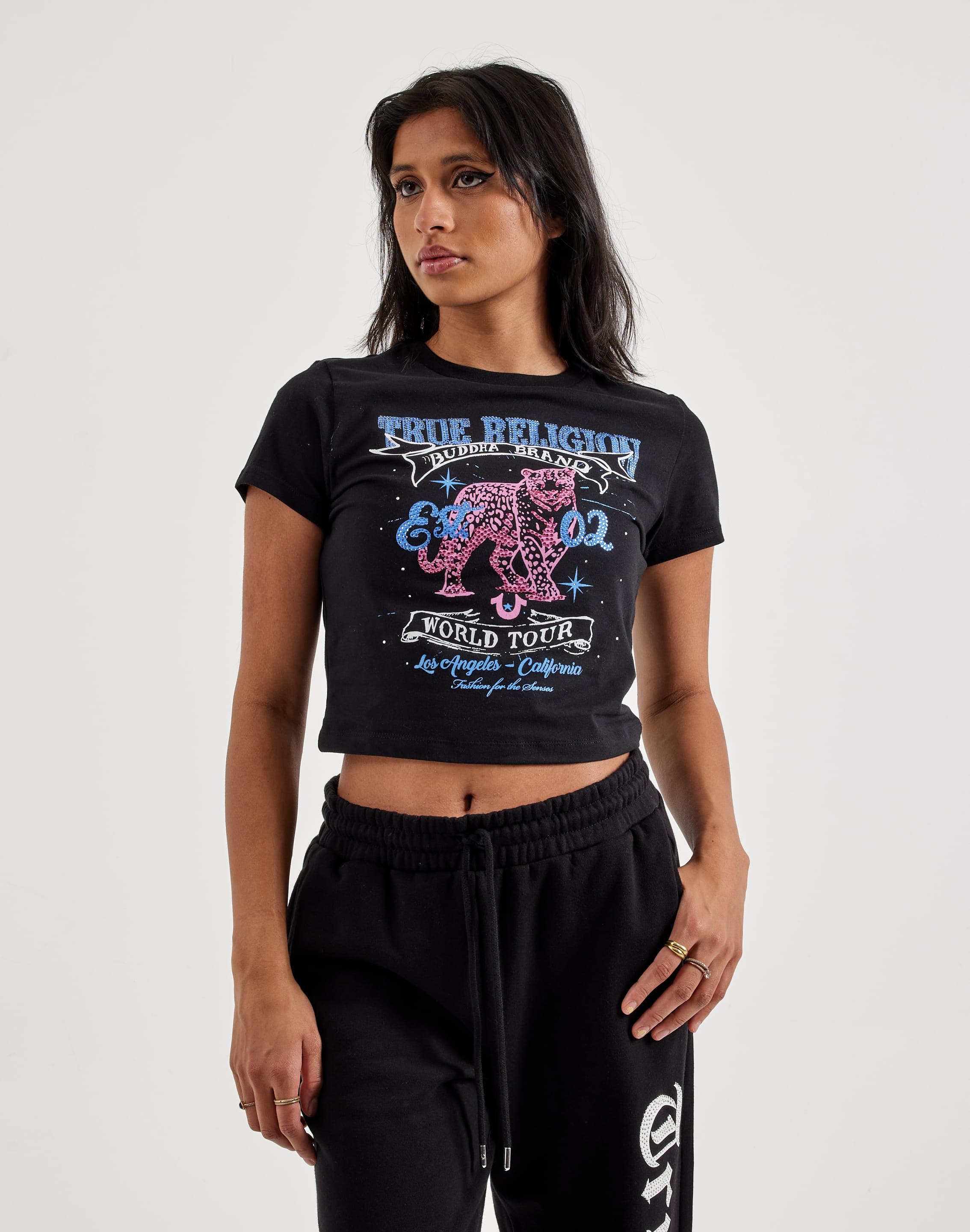 dtlr.com is where to buy