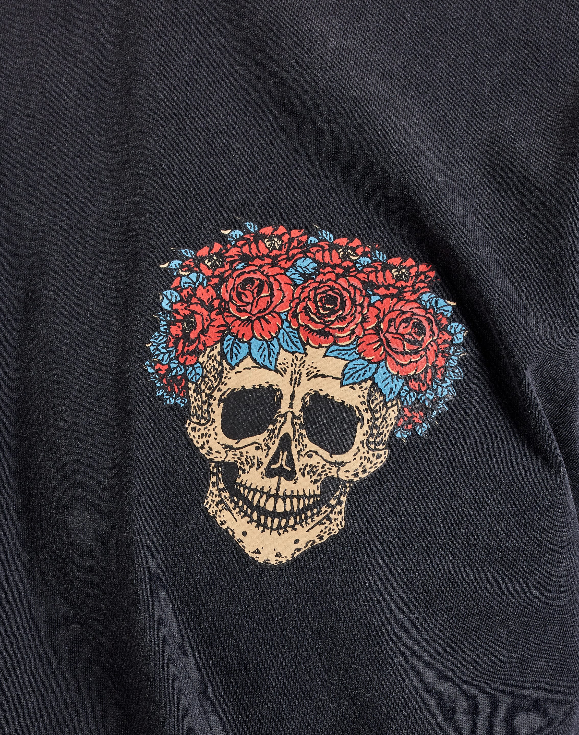 dtlr.com is where to buy