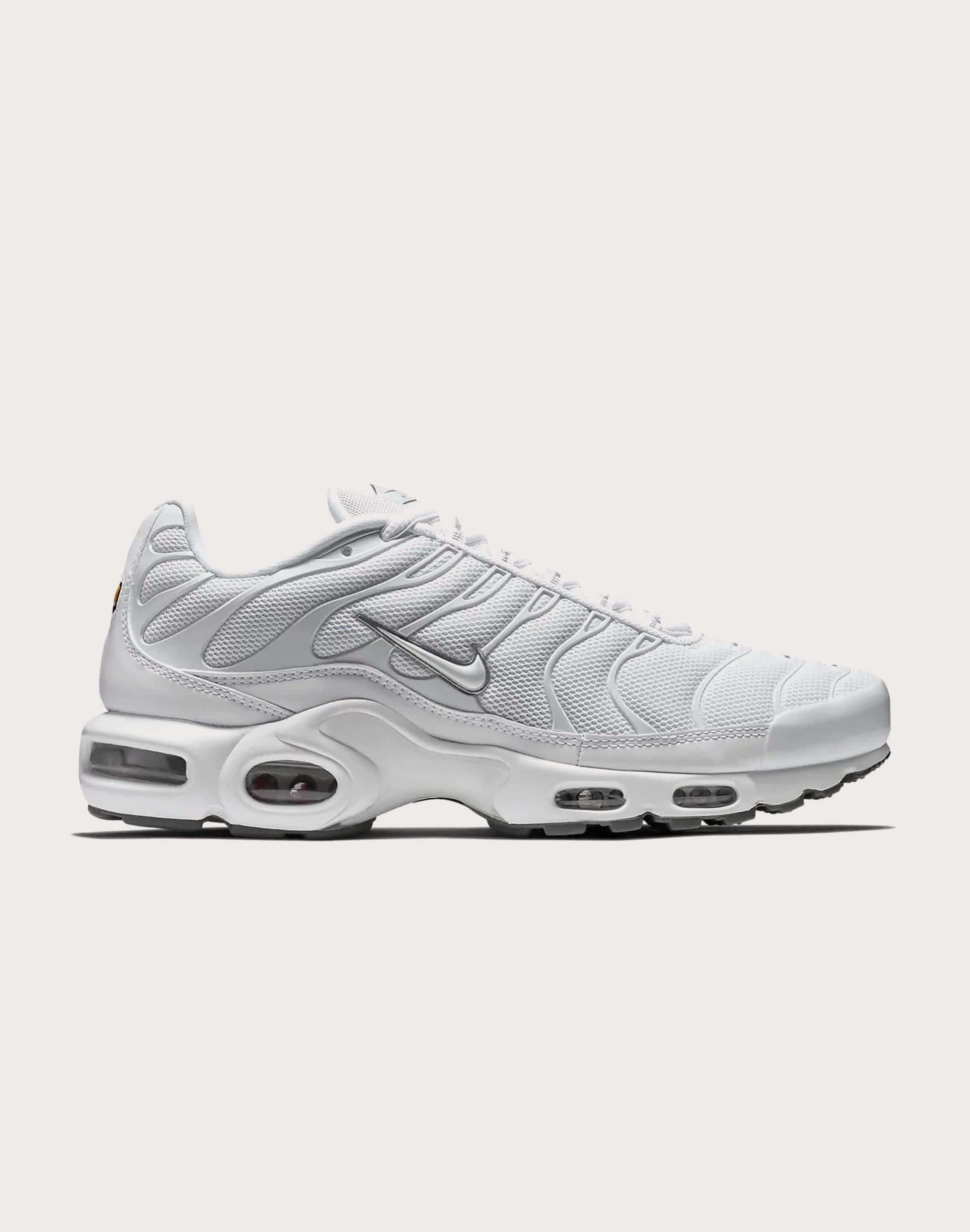 Nike Air Max Plus â DTLR