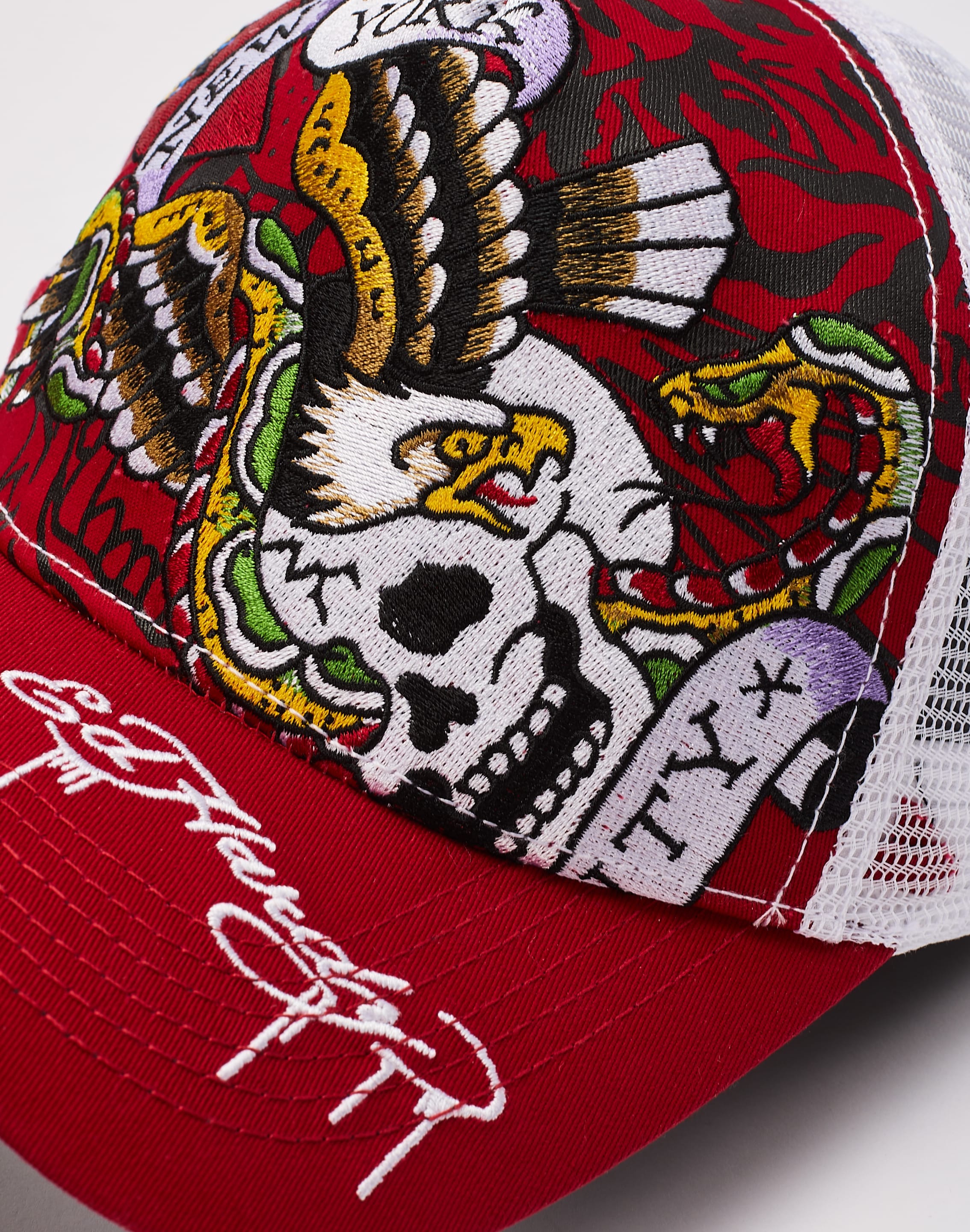 dtlr.com is where to buy