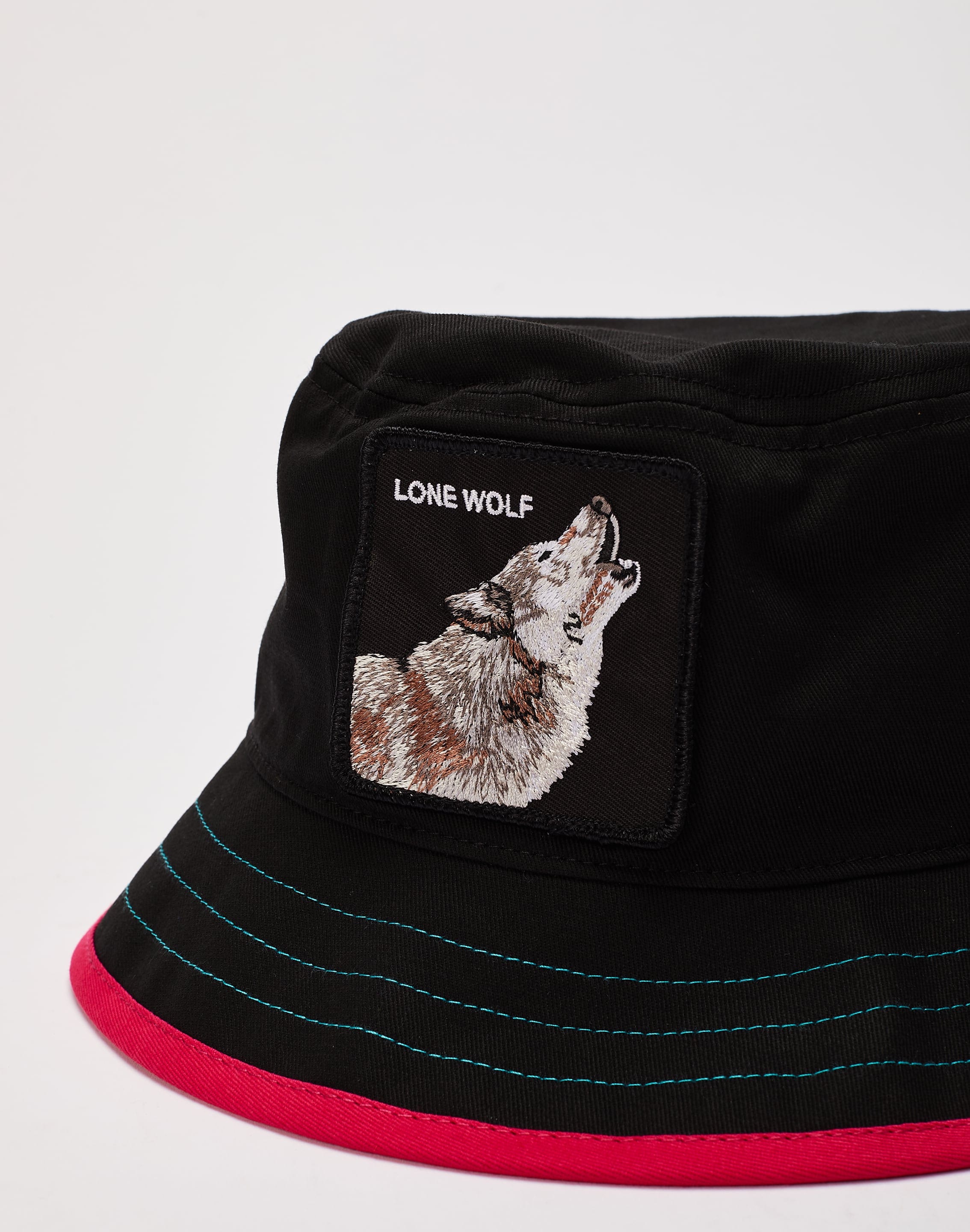 dtlr.com is where to buy