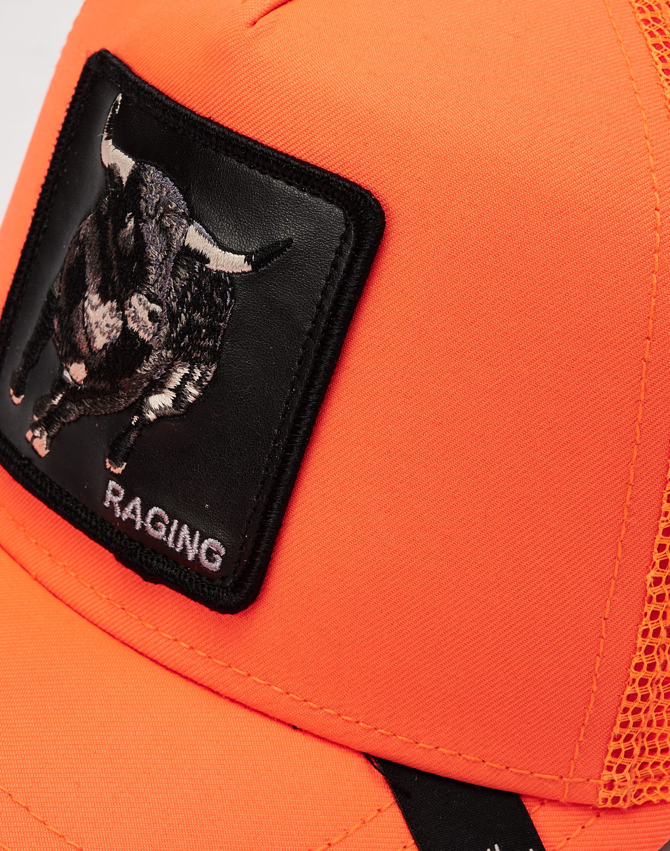 dtlr.com is where to buy