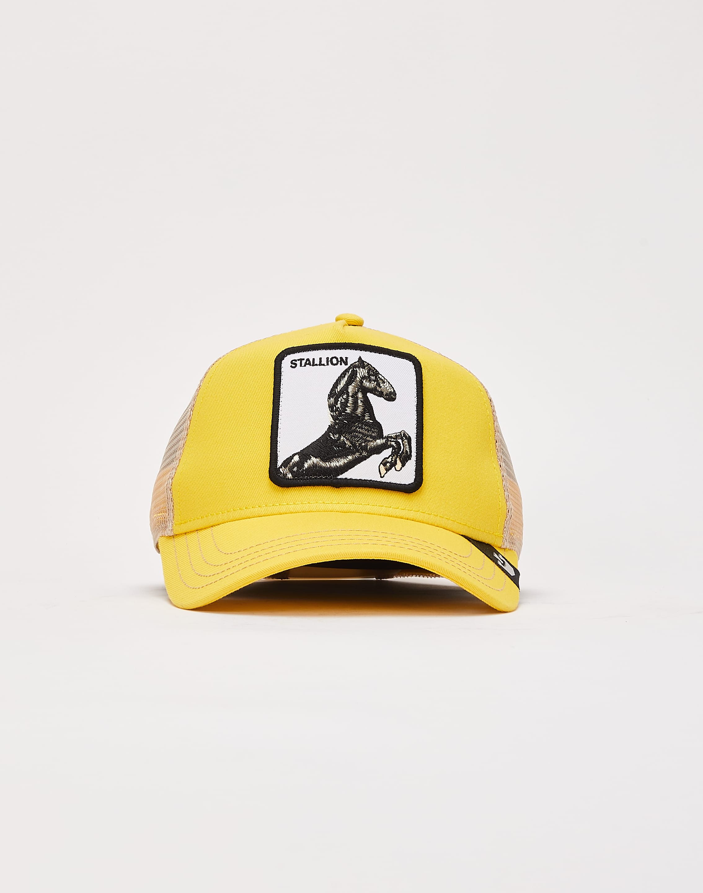 dtlr.com is where to buy