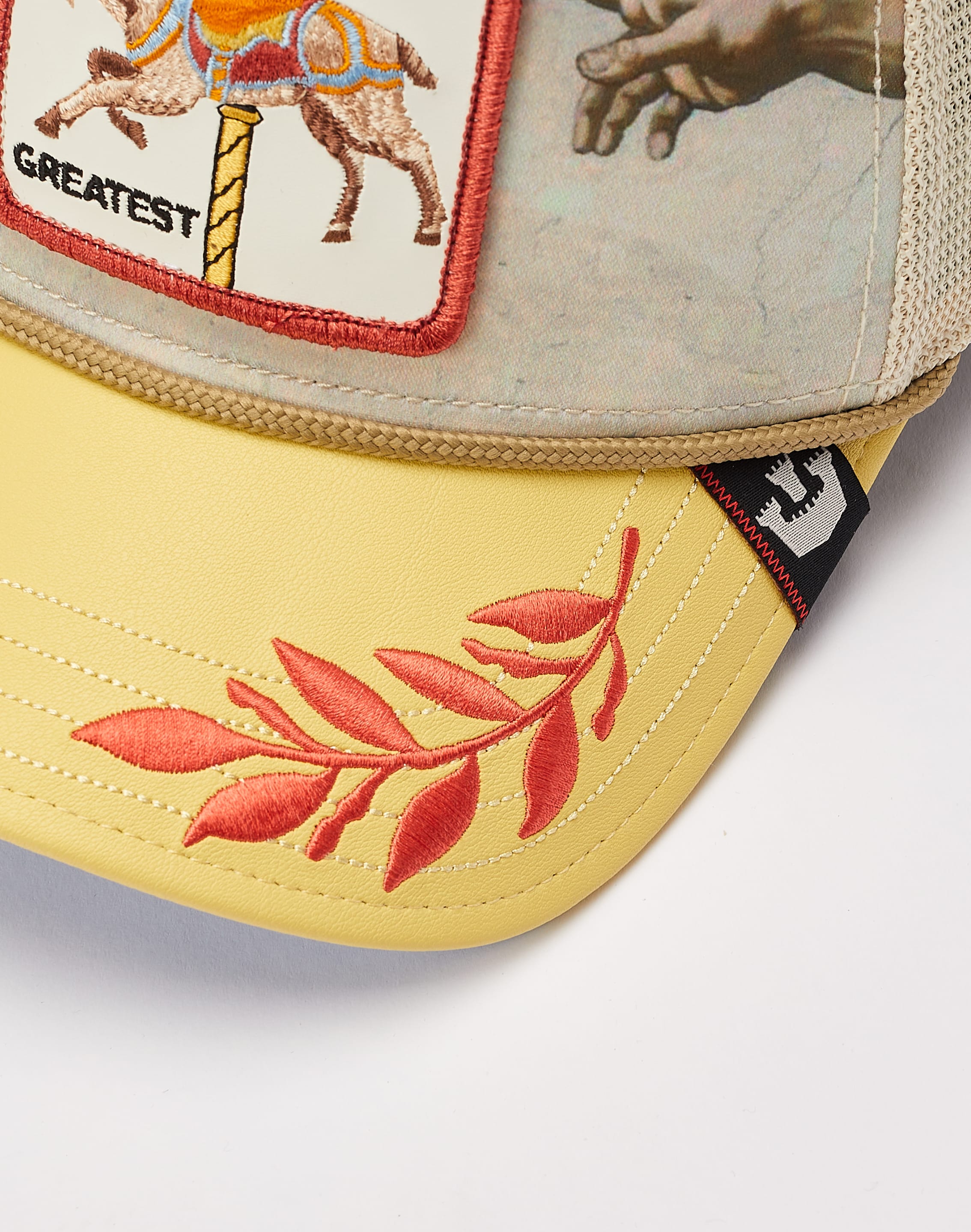 dtlr.com is where to buy