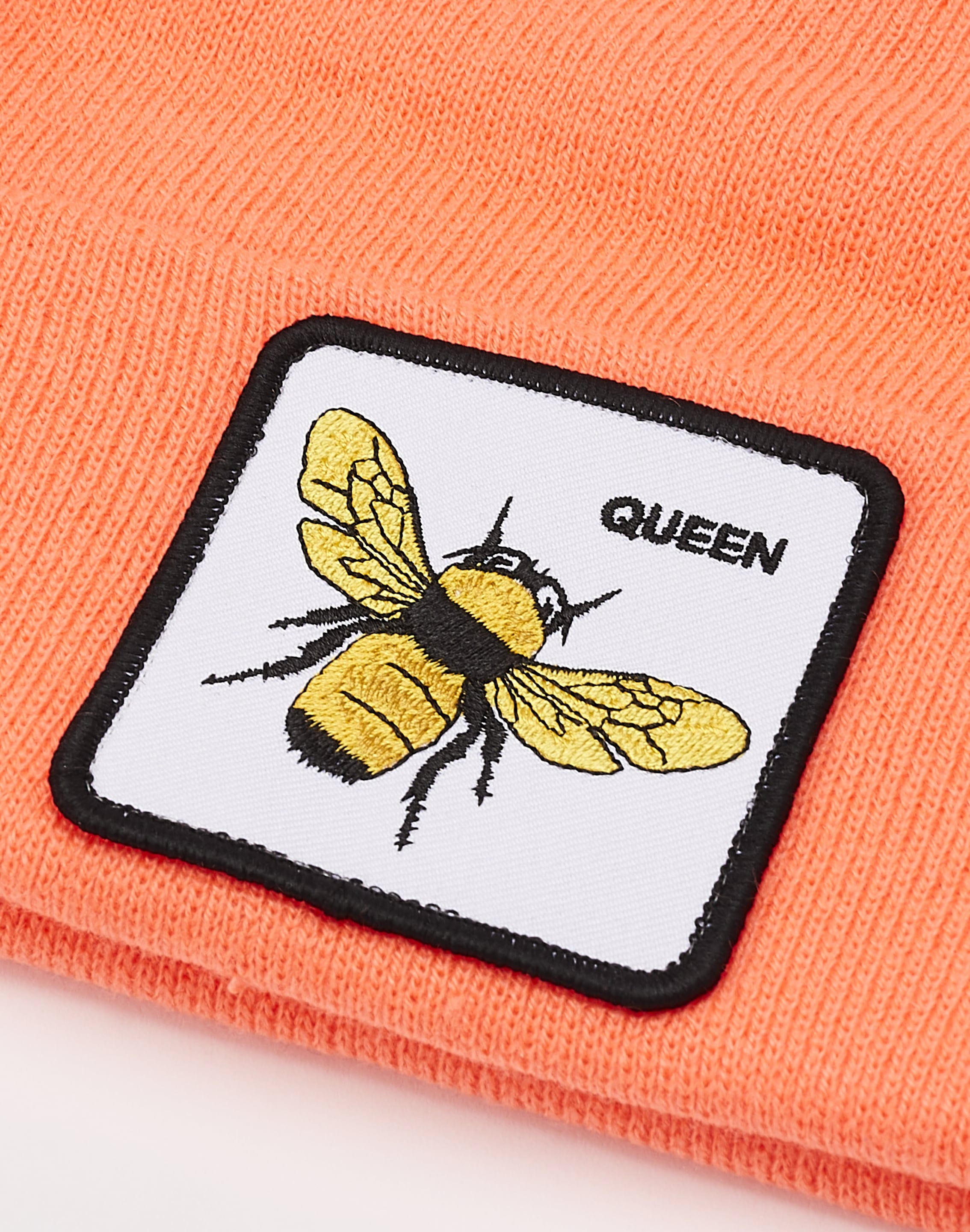 dtlr.com is where to buy