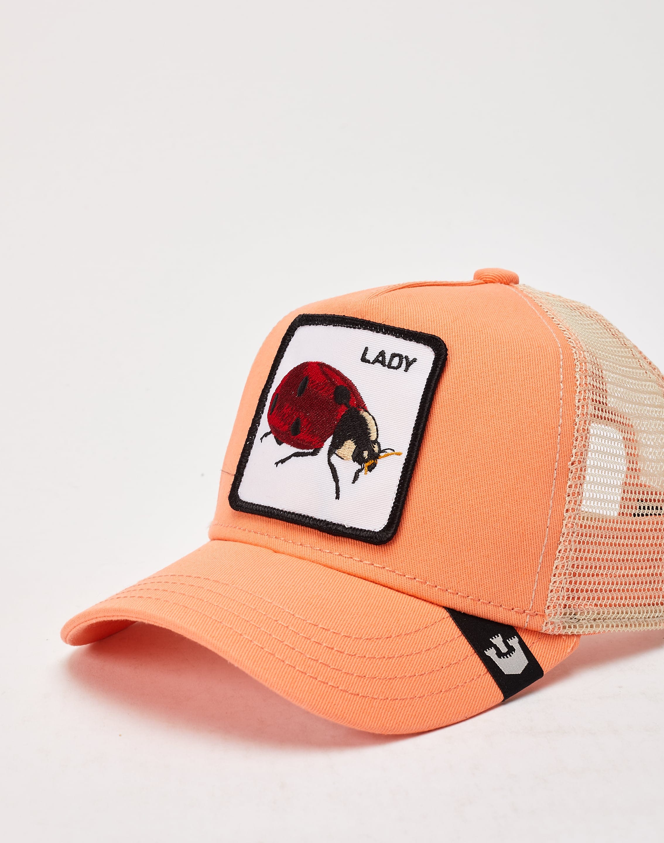 dtlr.com is where to buy