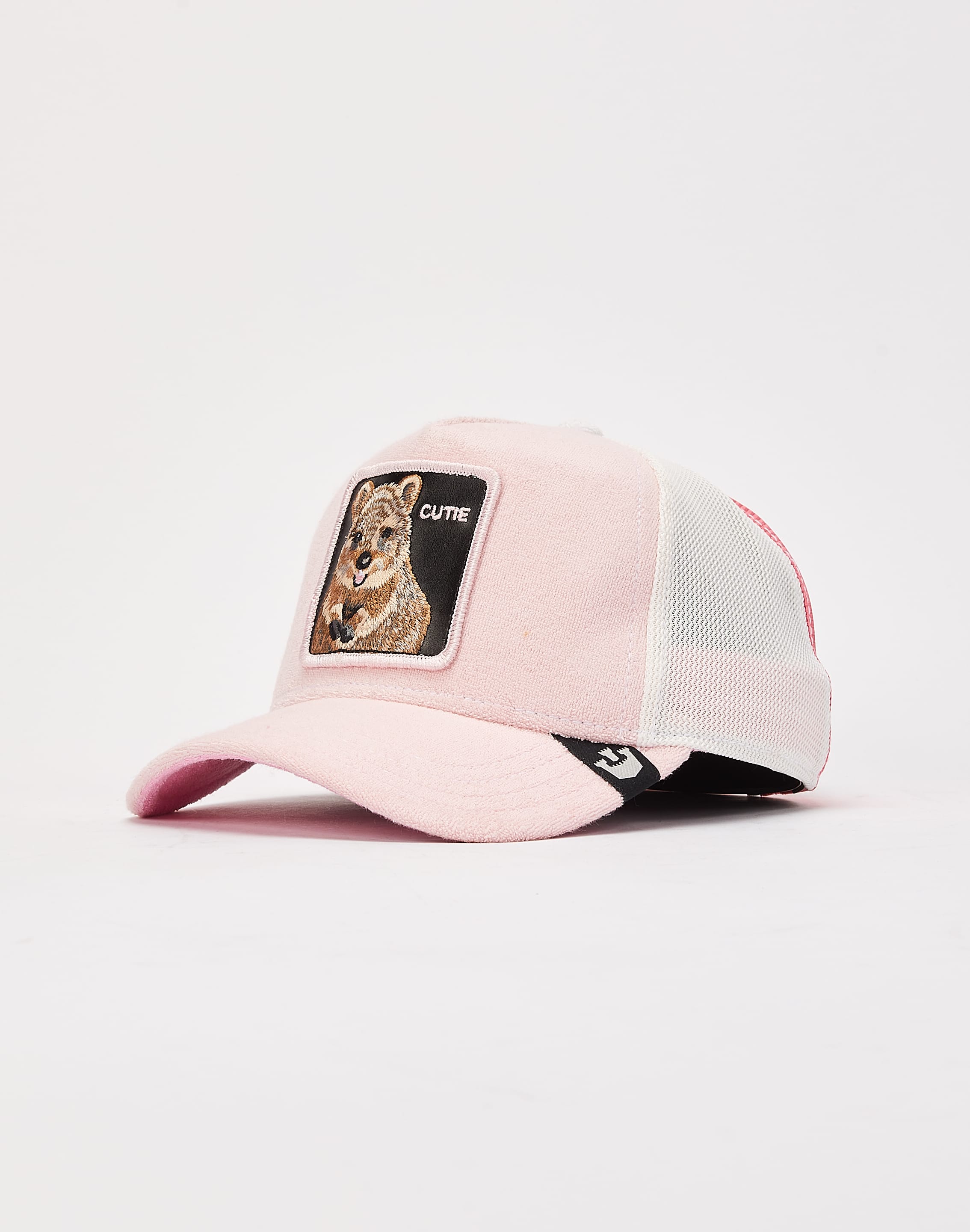 dtlr.com is where to buy