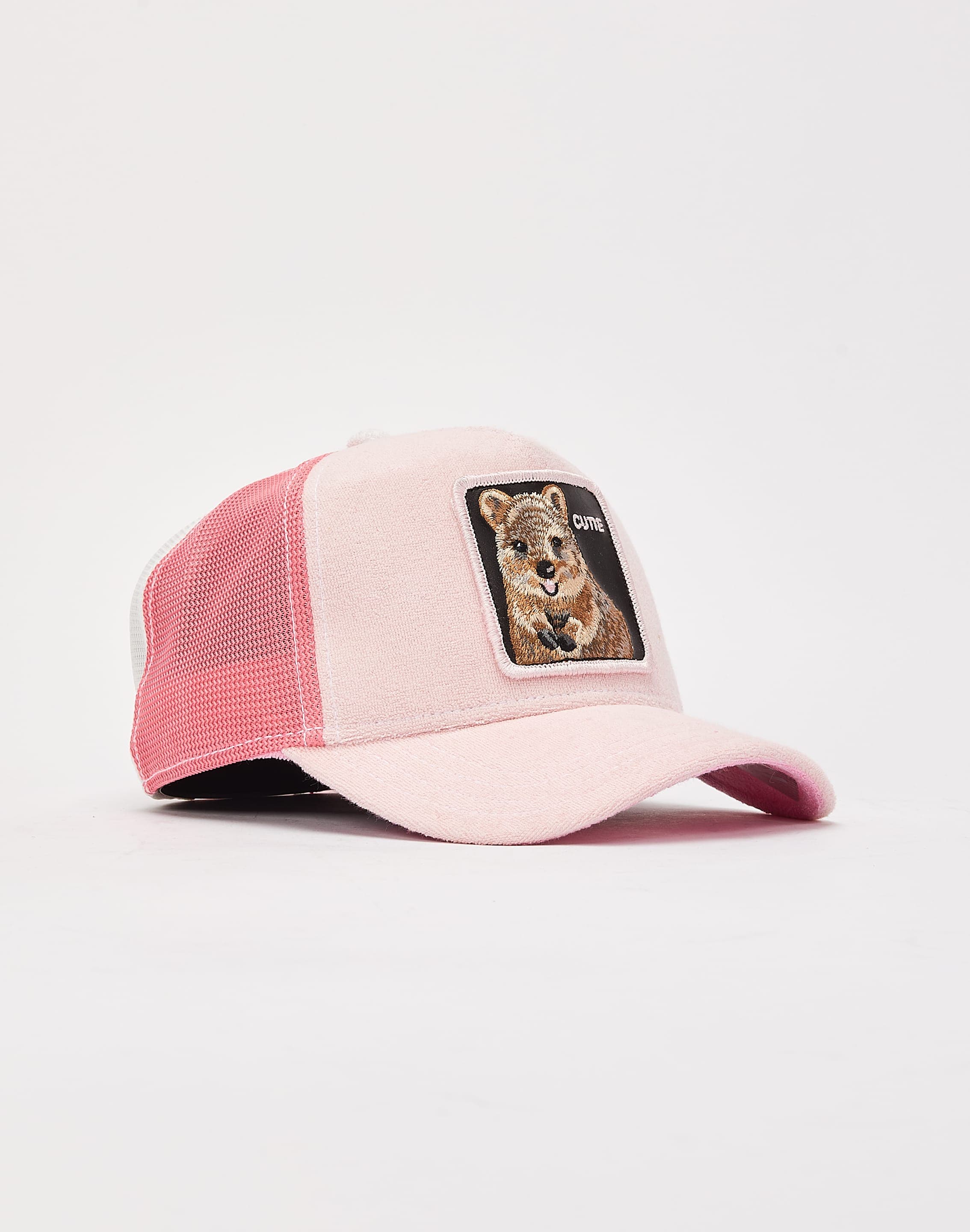 dtlr.com is where to buy