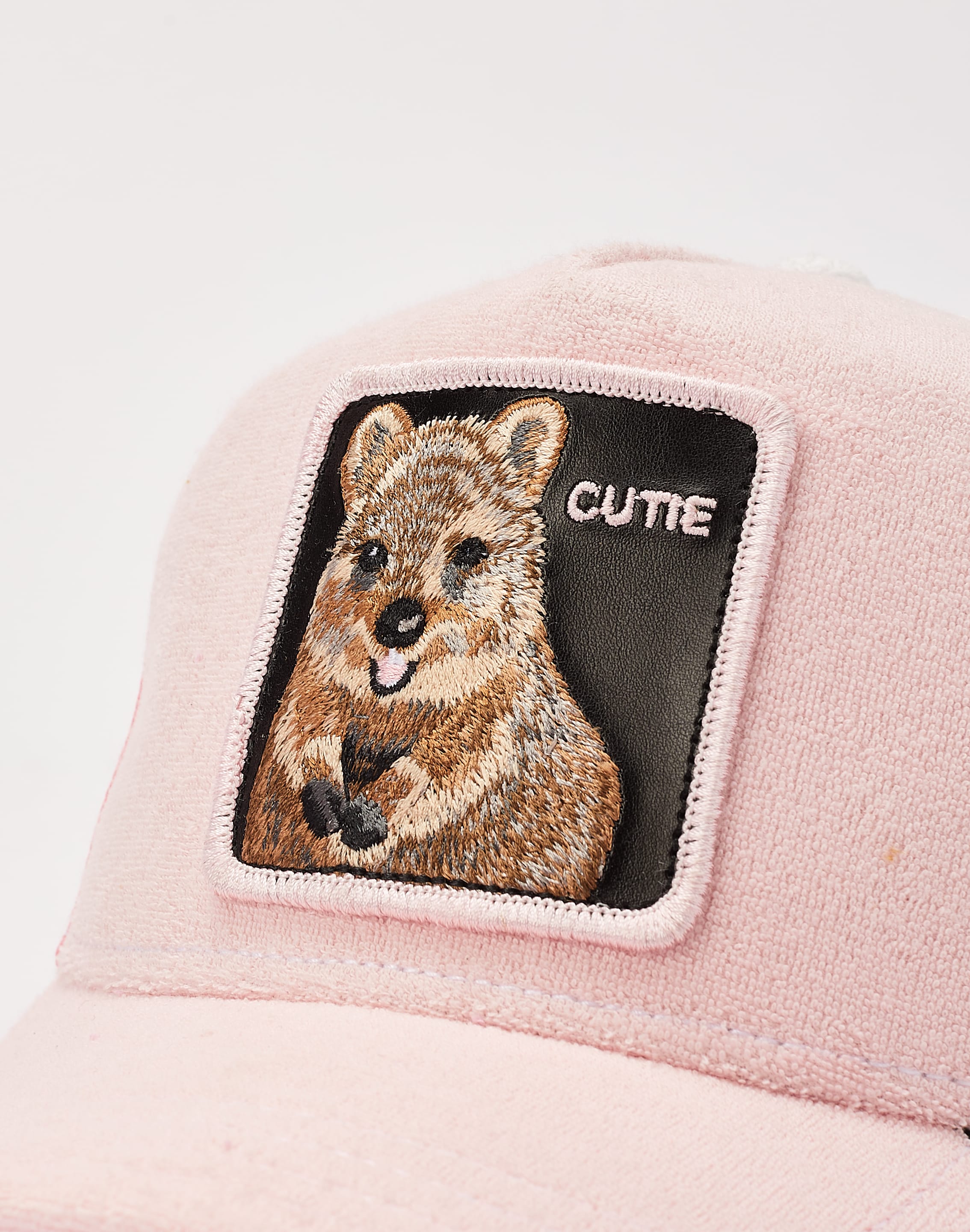 dtlr.com is where to buy