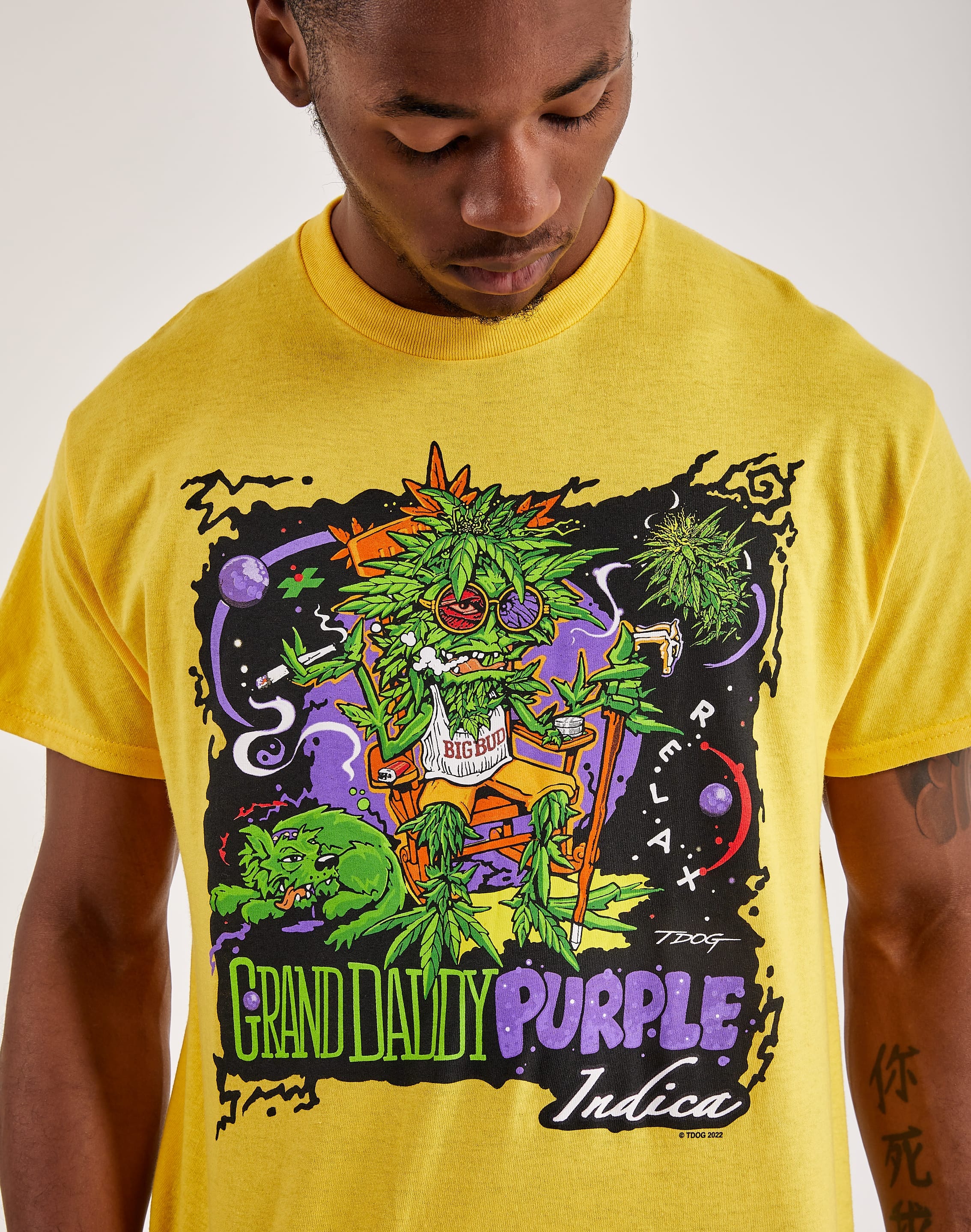 Liquid Blue Grand Daddy Purple Tee – DTLR - Main Image