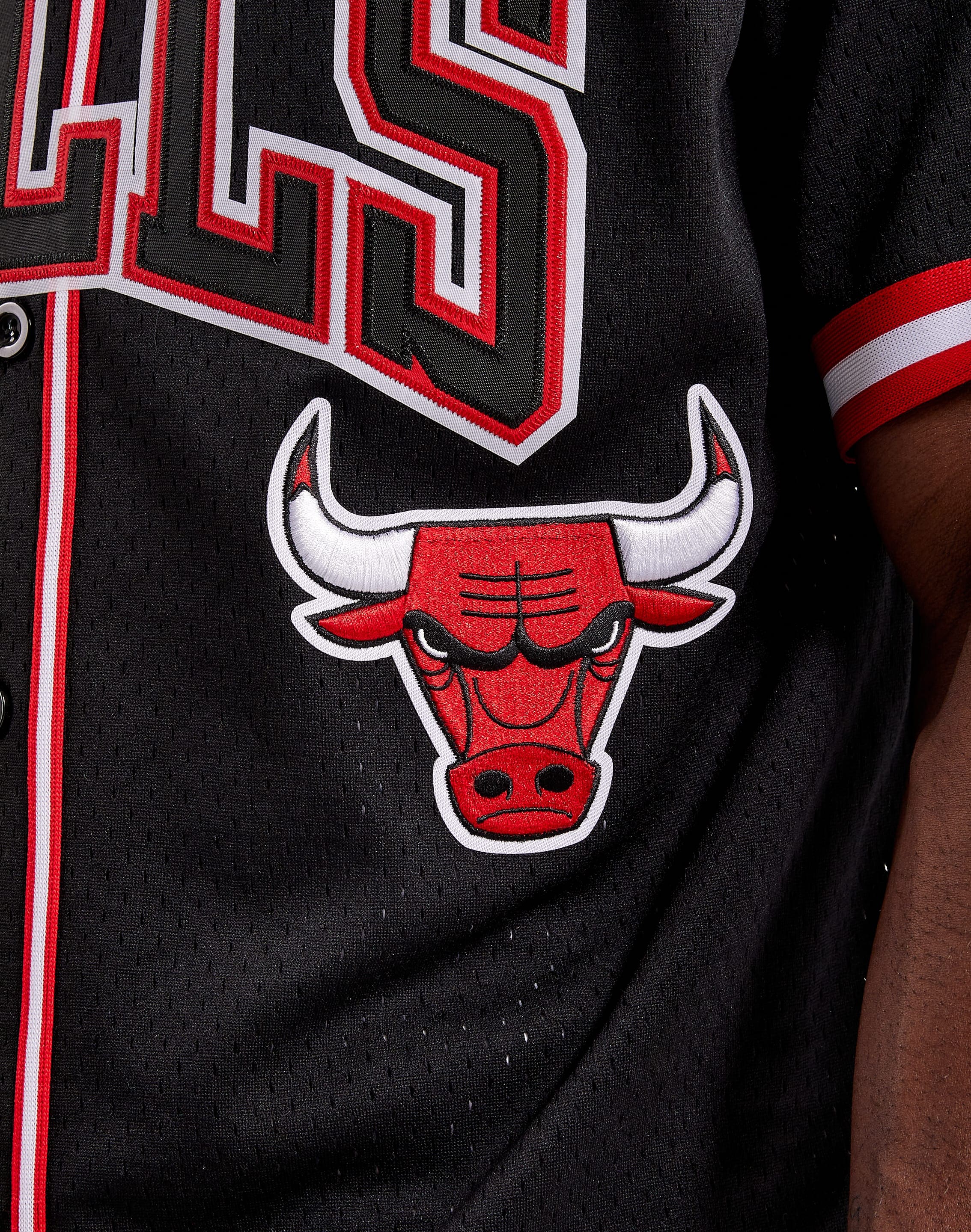 NBA Chicago Bulls 10 Pets Basketball Mesh Jersey