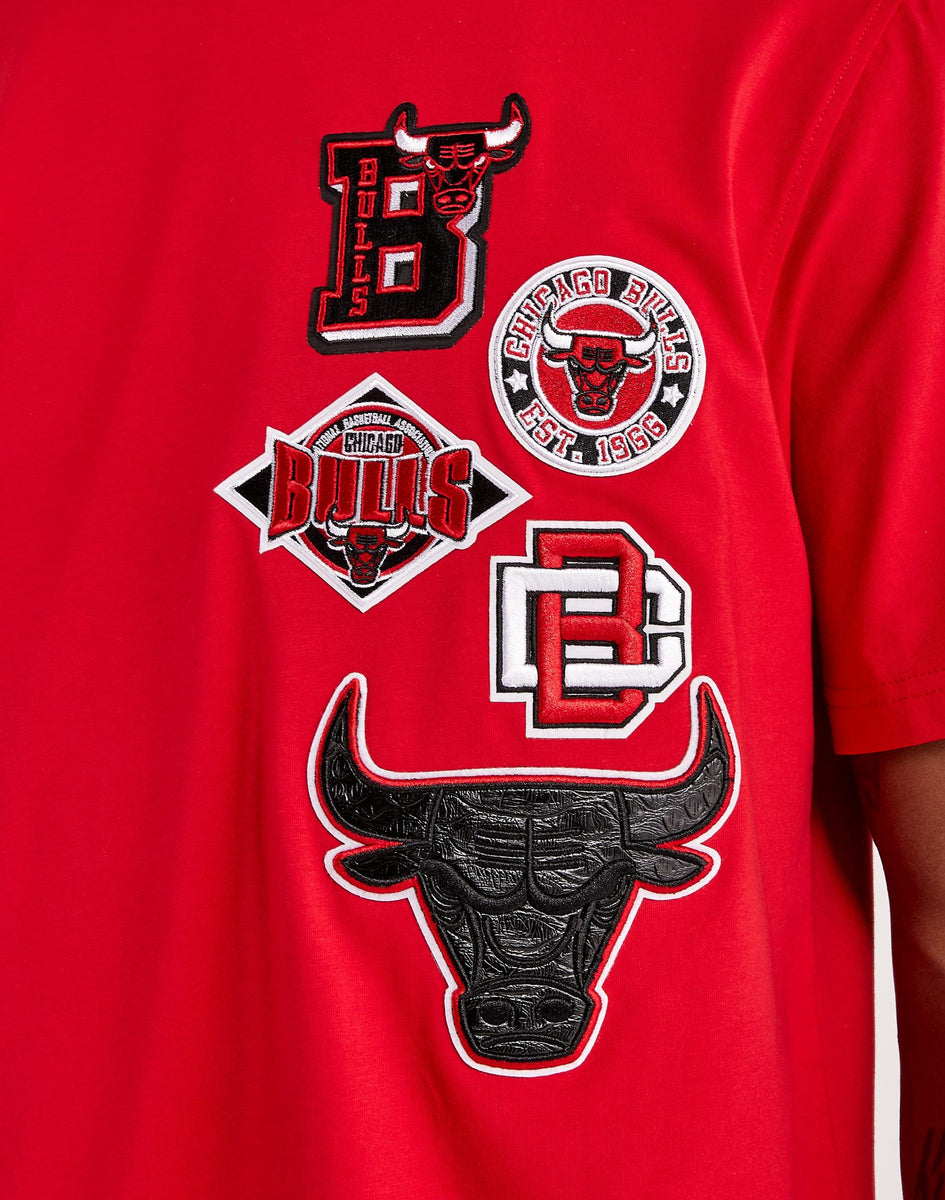 Pro Standard Chicago Bulls Tee – DTLR