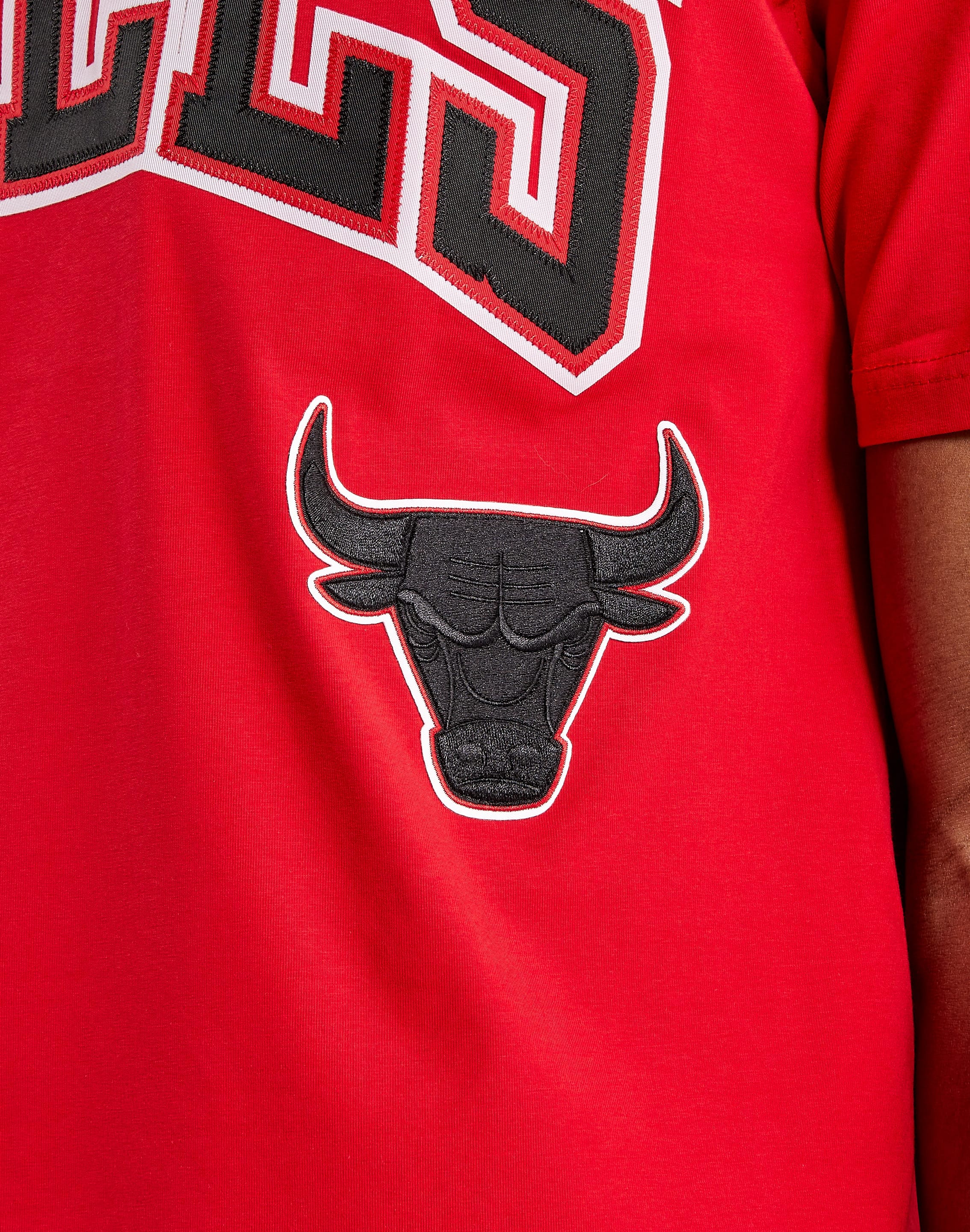 Pro Standard Men's Chicago Bulls Lost and Found Fleece Crewneck Sweatshirt