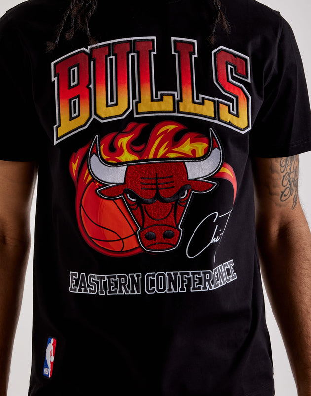 Pro Standard Chicago Bulls Tee – DTLR
