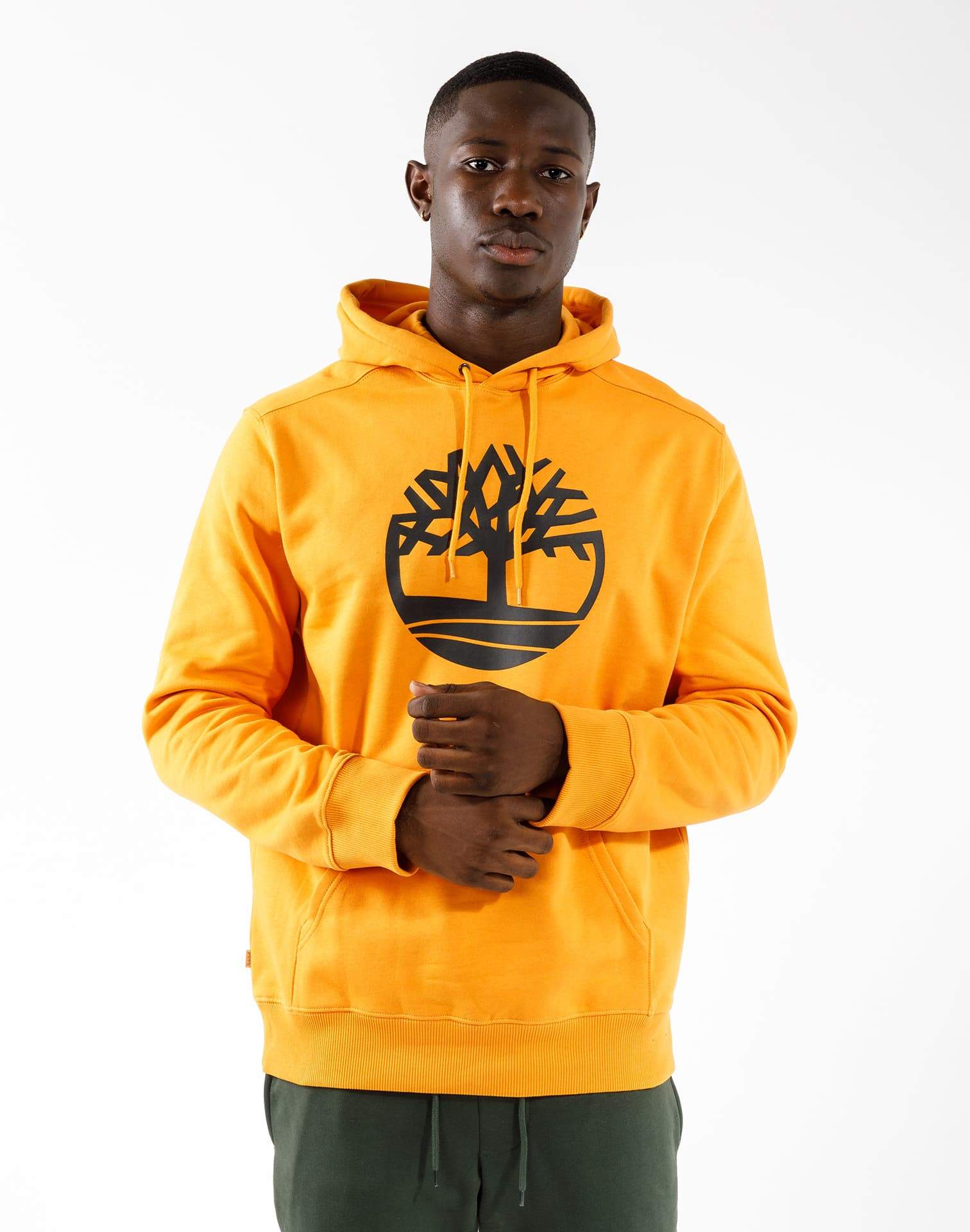 Timbaran Tree Timberland Core Tree Logo