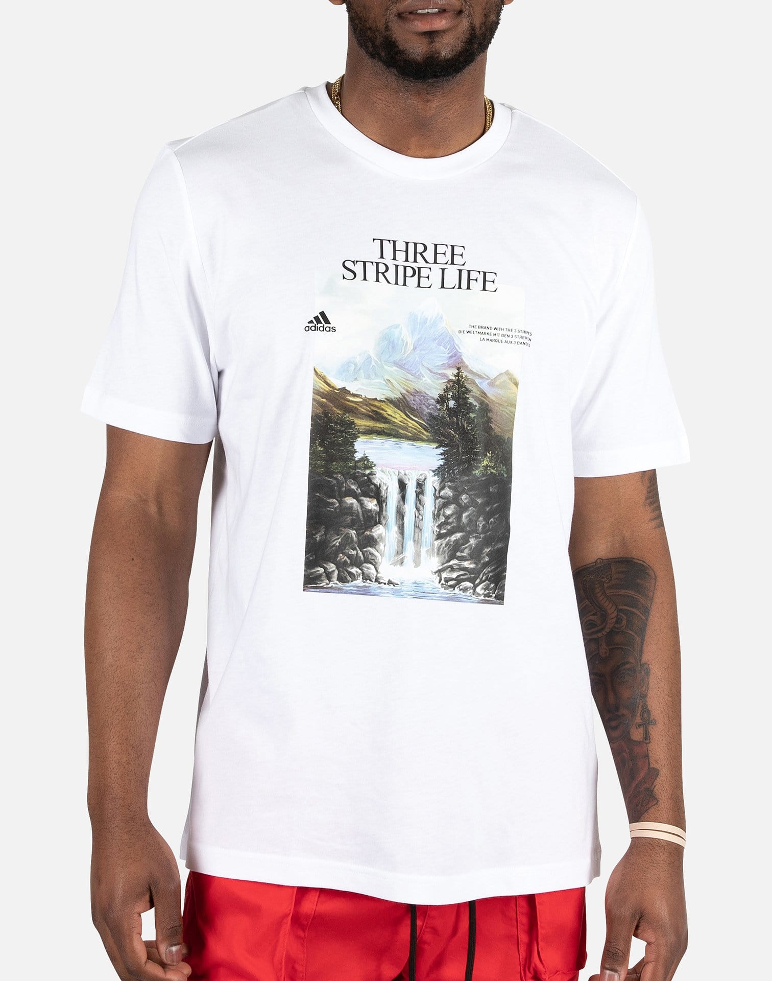 Im8318 Adidas ATHLETICS MOUNTAIN GRAPHIC TEE – DTLR