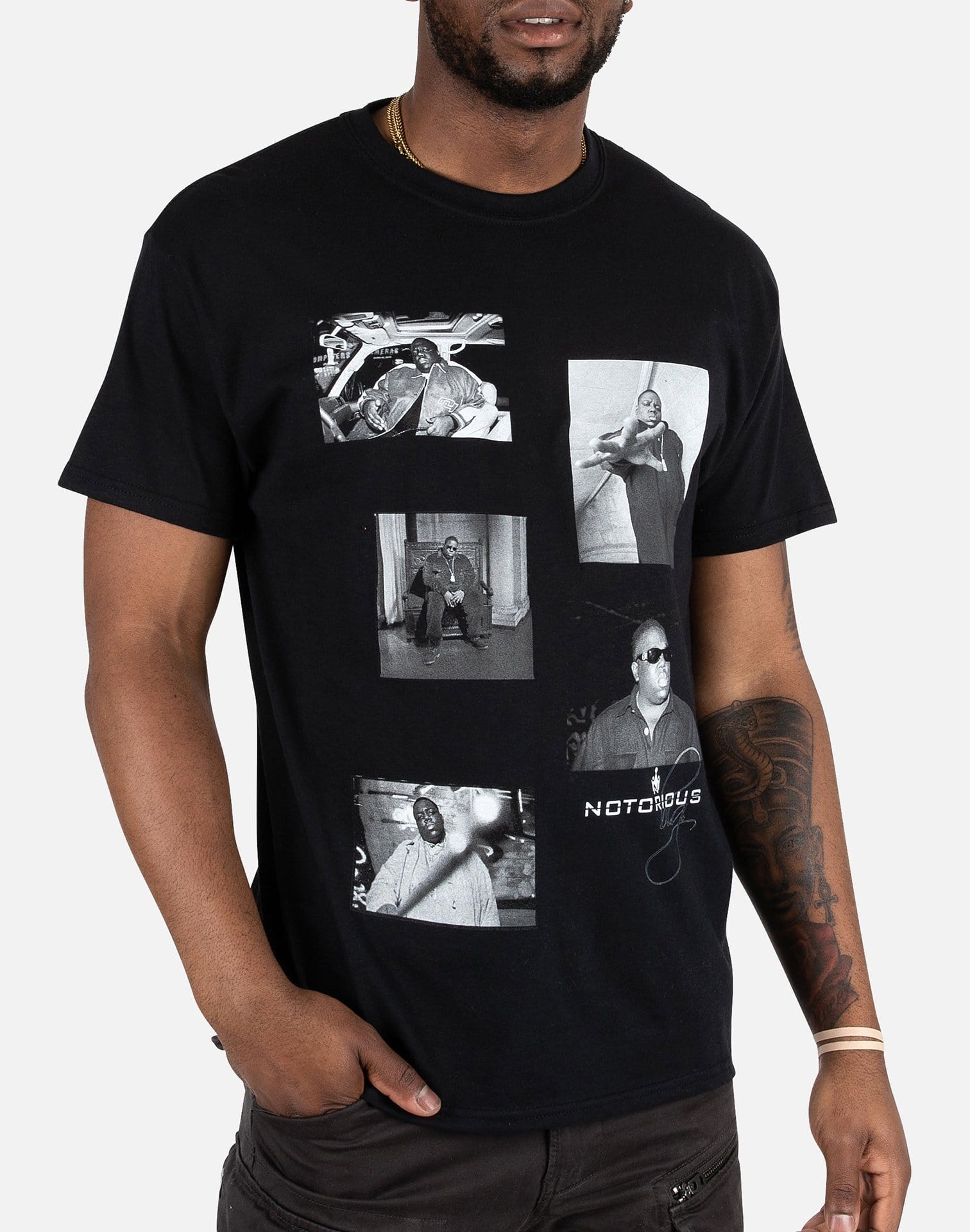 dtlr.com is where to buy