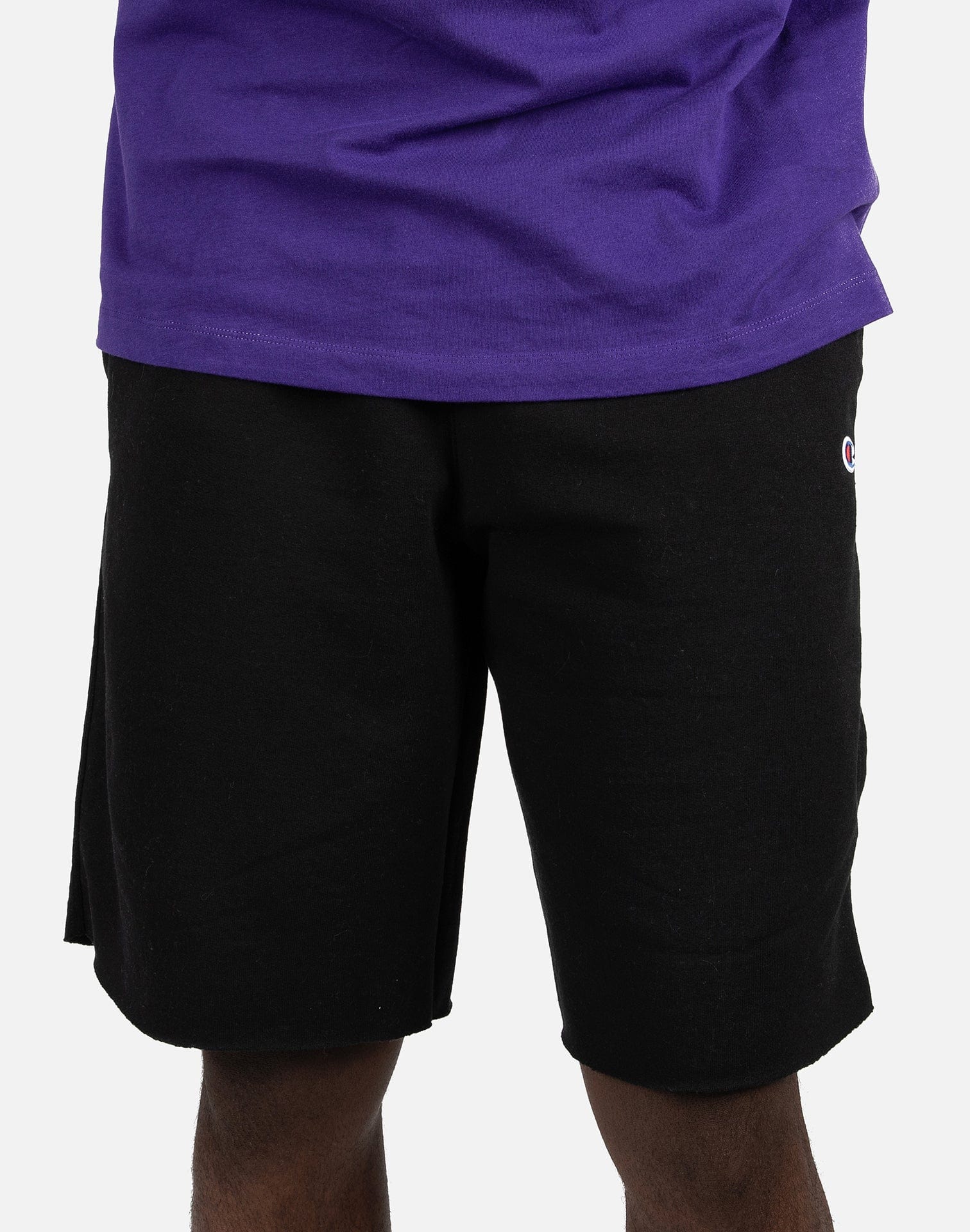 Champion POWERBLEND FLEECE SHORTS DTLR