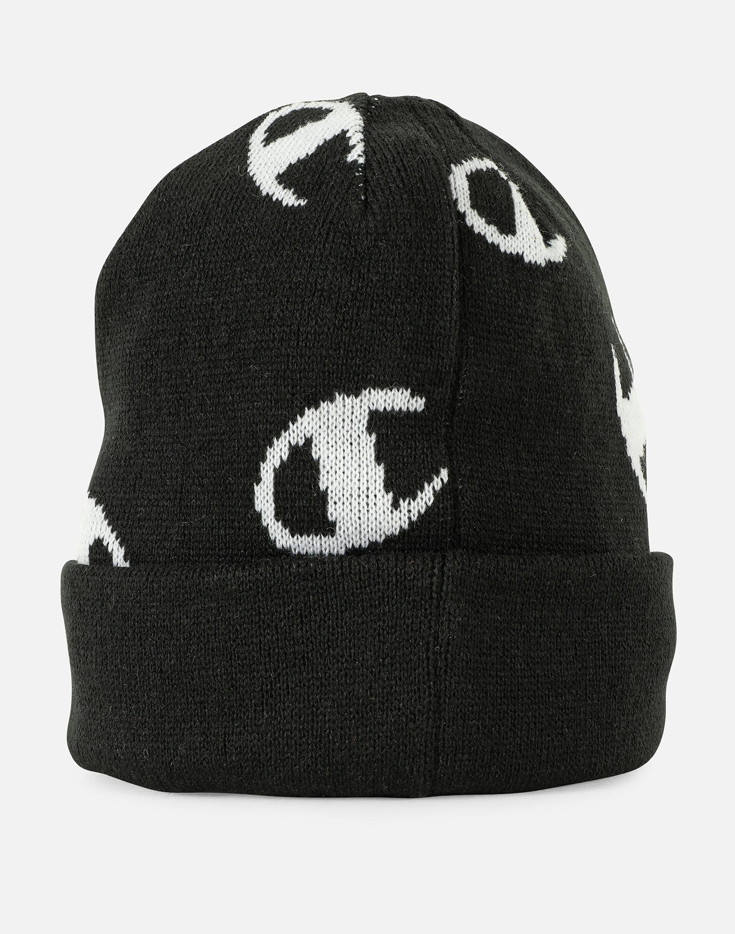 Photo of Champion SCRIPT LOGO BEANIE
