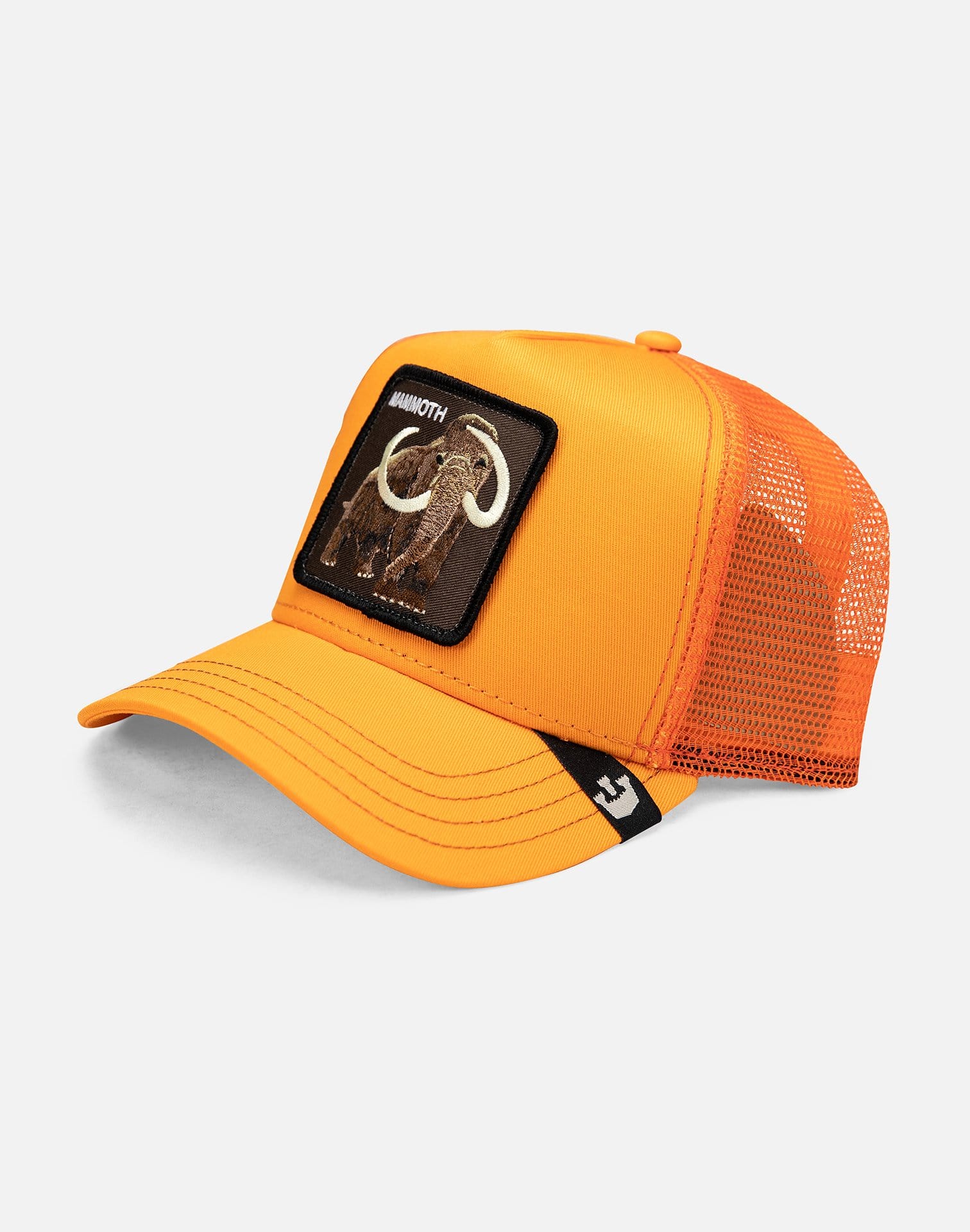 dtlr.com is where to buy