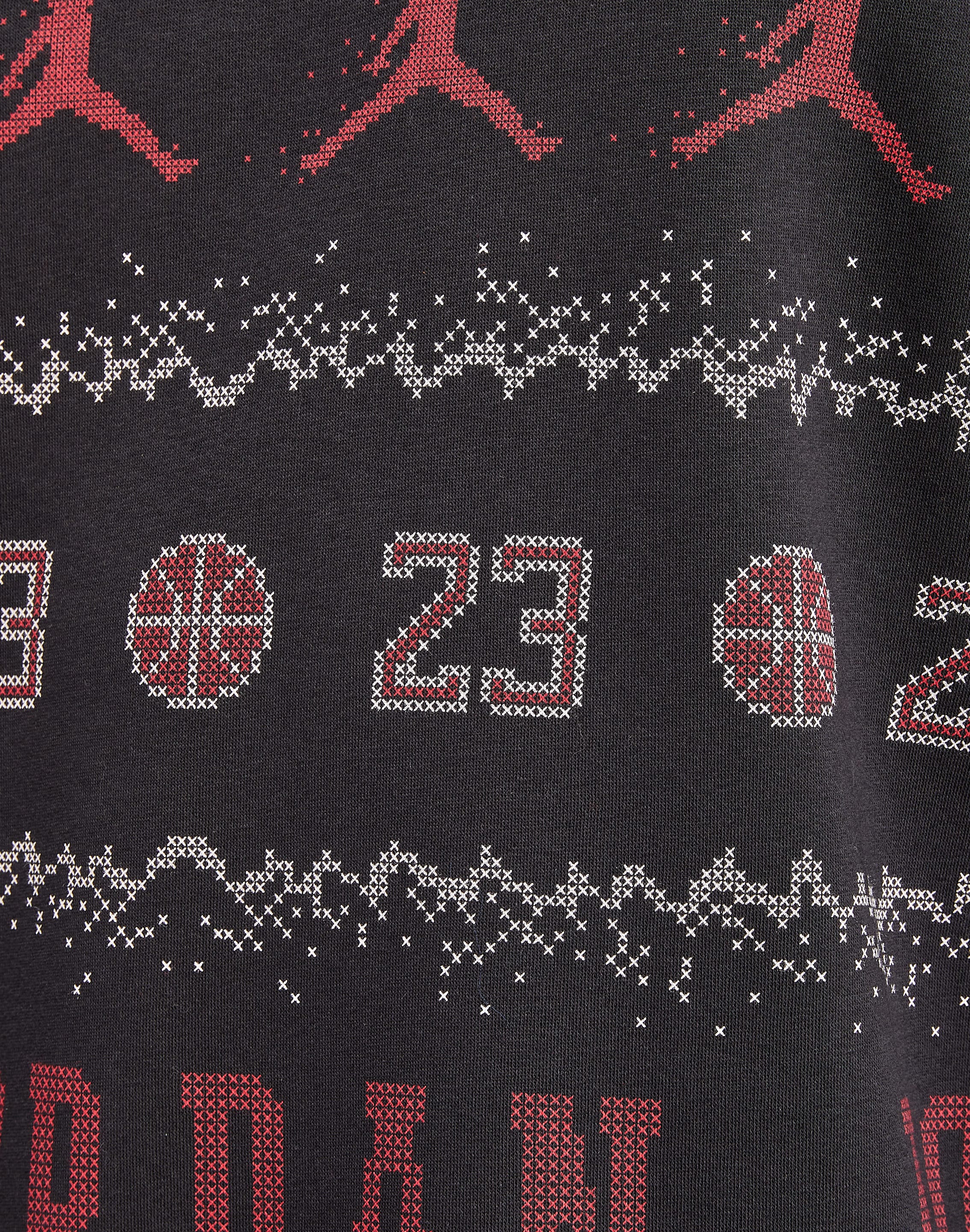 Jordan Holiday Fleece Crewneck Sweatshirt – DTLR
