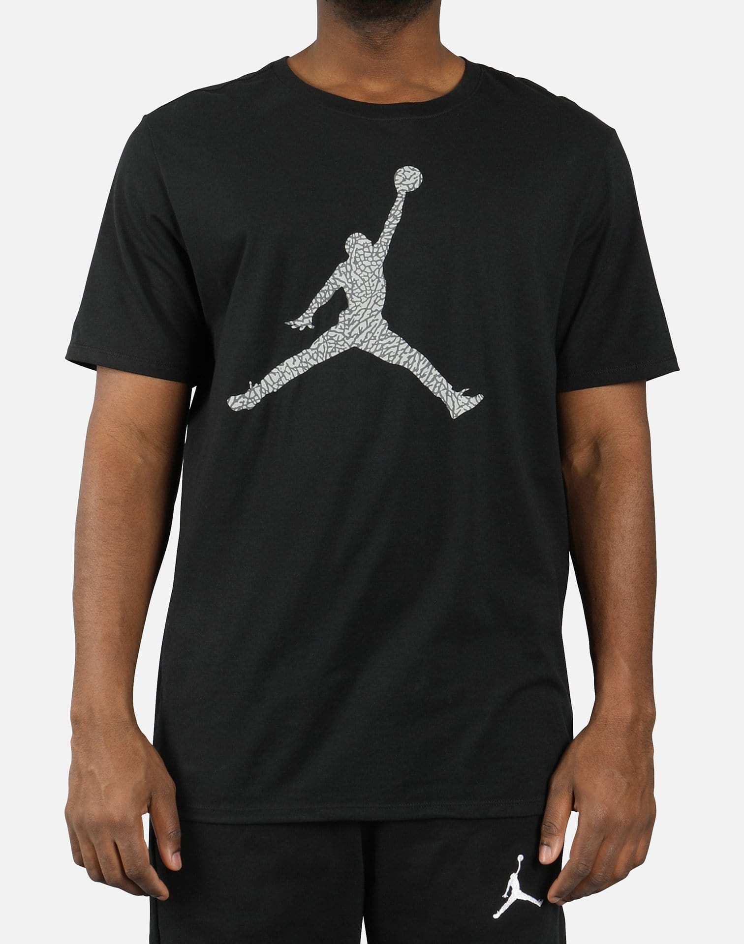 Jordan JSW JUMPMAN ELEPHANT PRINT FILL TEE – DTLR