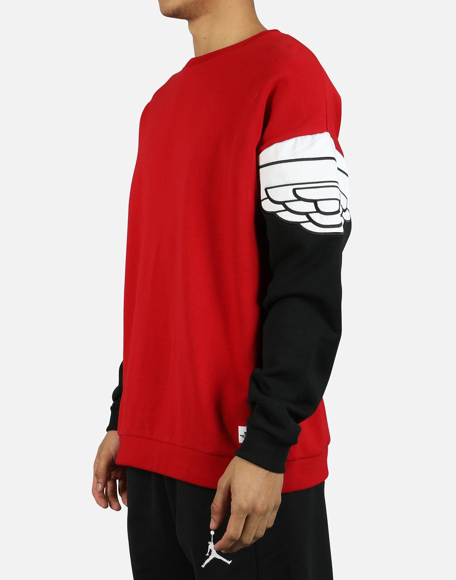 Jordan WINGS CLASSICS CREW – DTLR