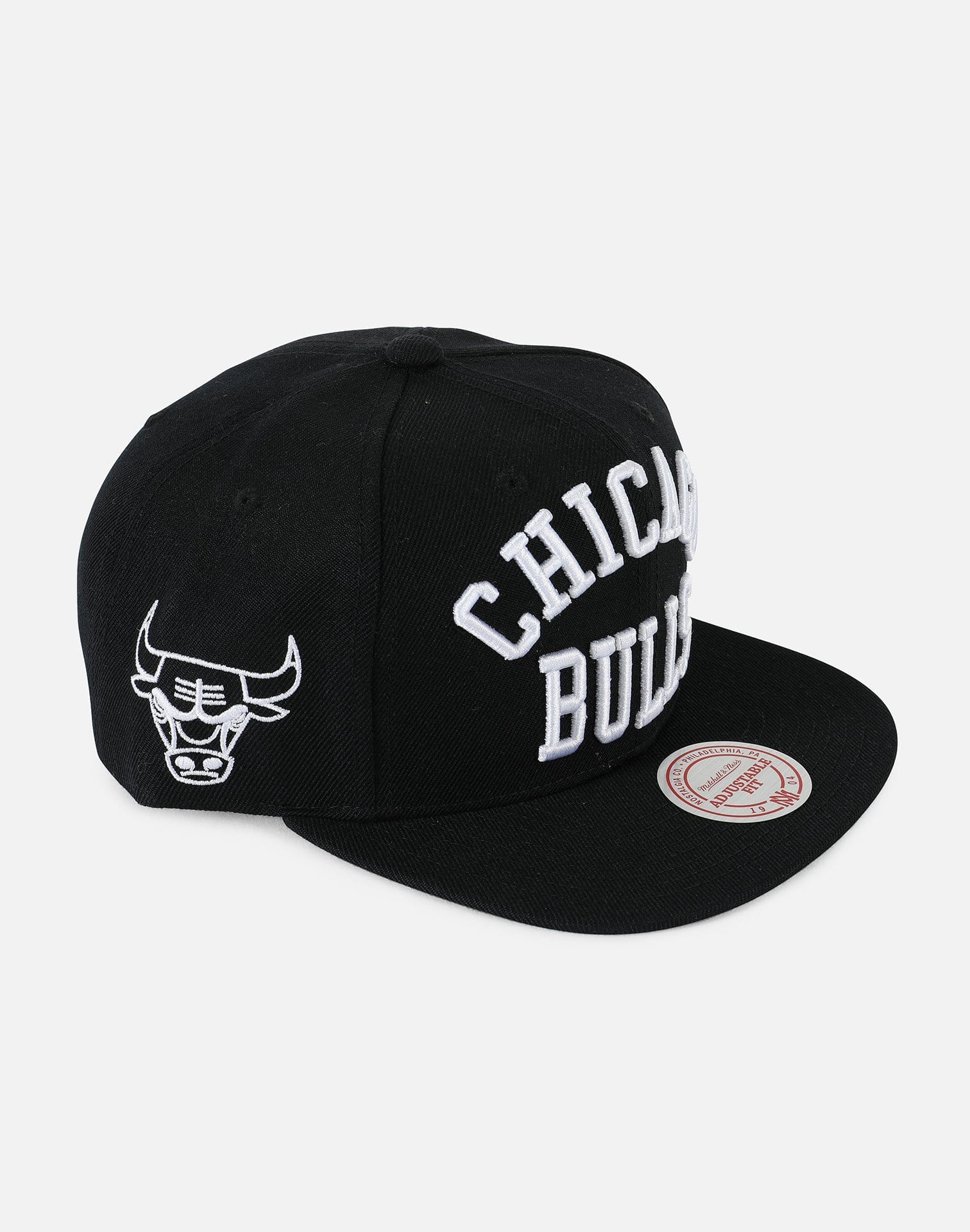 Mitchell and Ness Chicago Bulls Arch Team Snapback