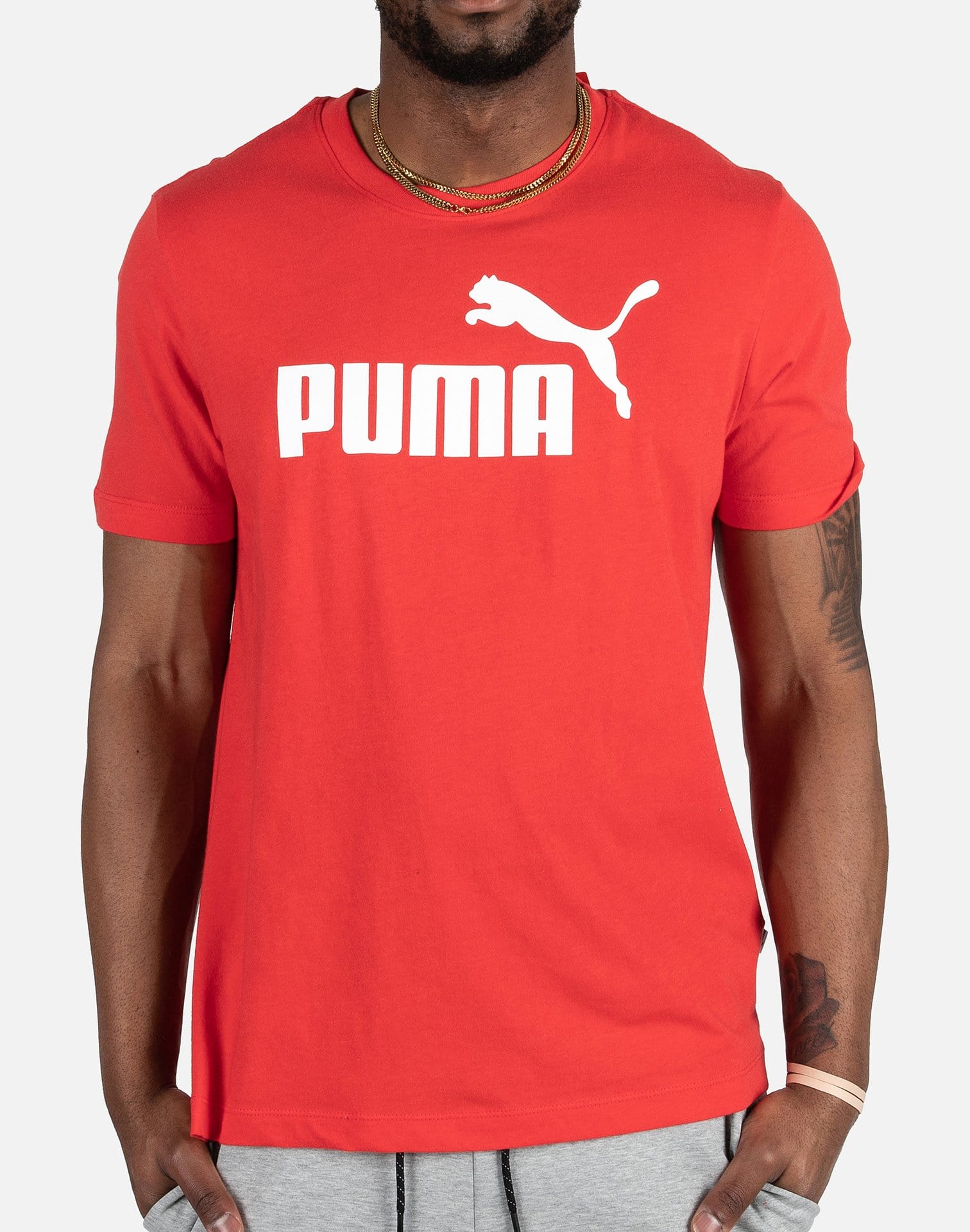 Photo of Puma ESSENTIALS LOGO TEE
