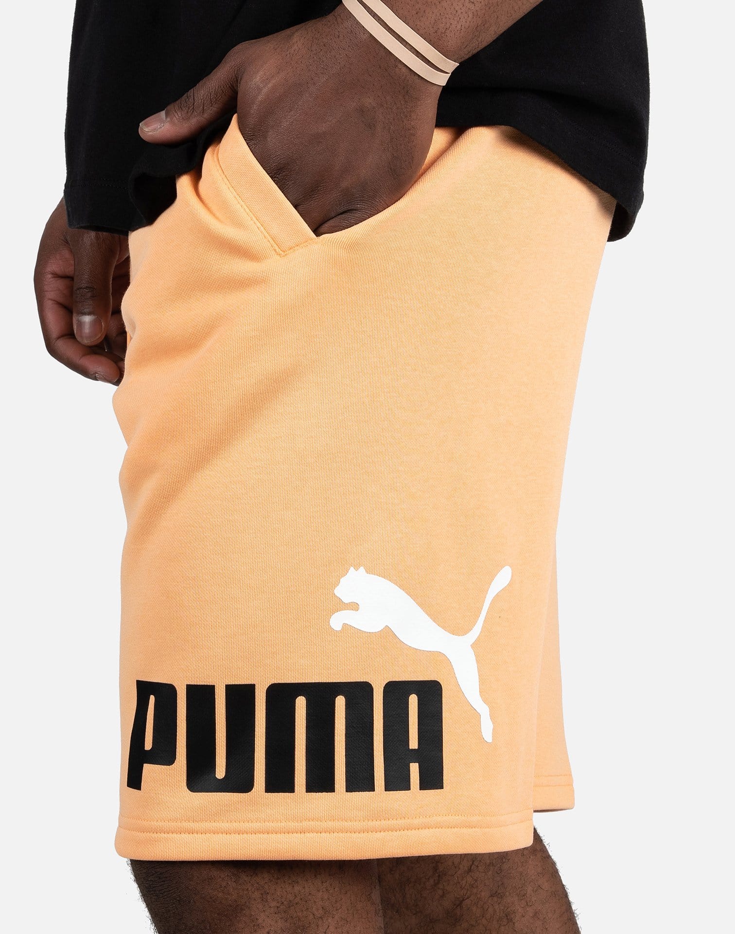 Photo of Puma BIG FLEECE LOGO SHORTS
