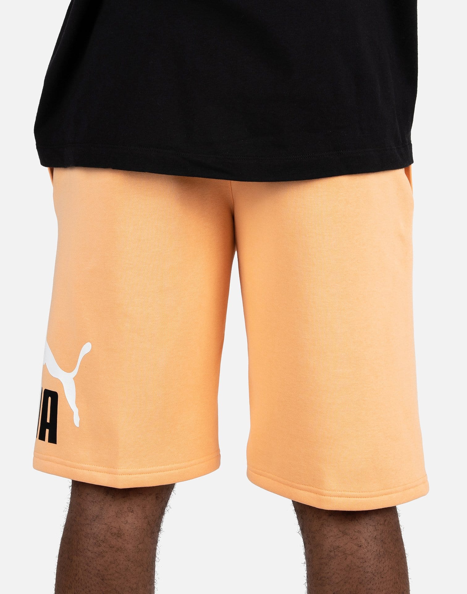 Photo of Puma BIG FLEECE LOGO SHORTS