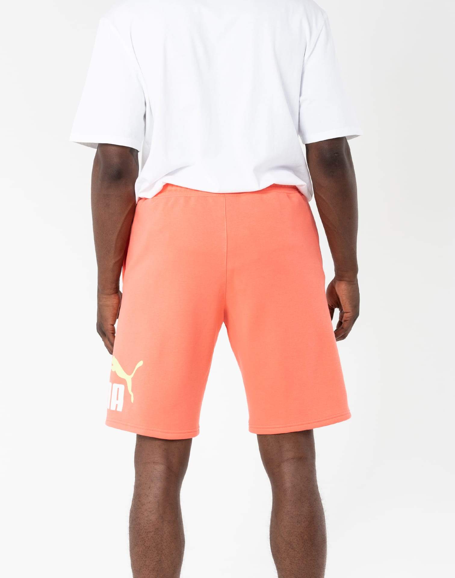 Photo of Puma Big Fleece Logo Shorts