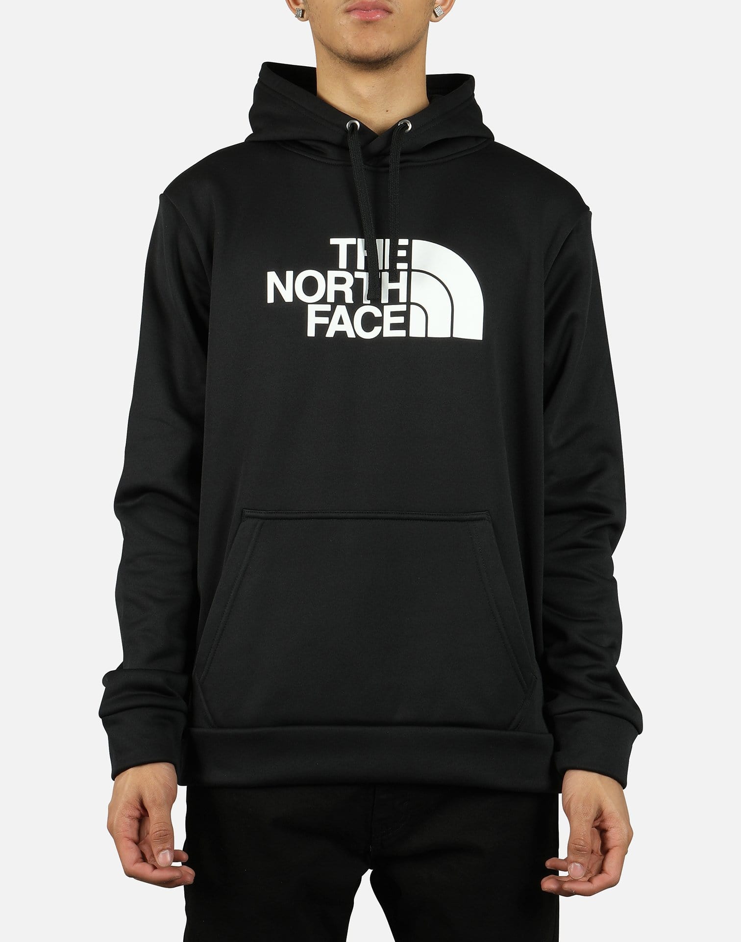 The North Face Men's Surgent Pullover Half Dome 2.0 Hoodie